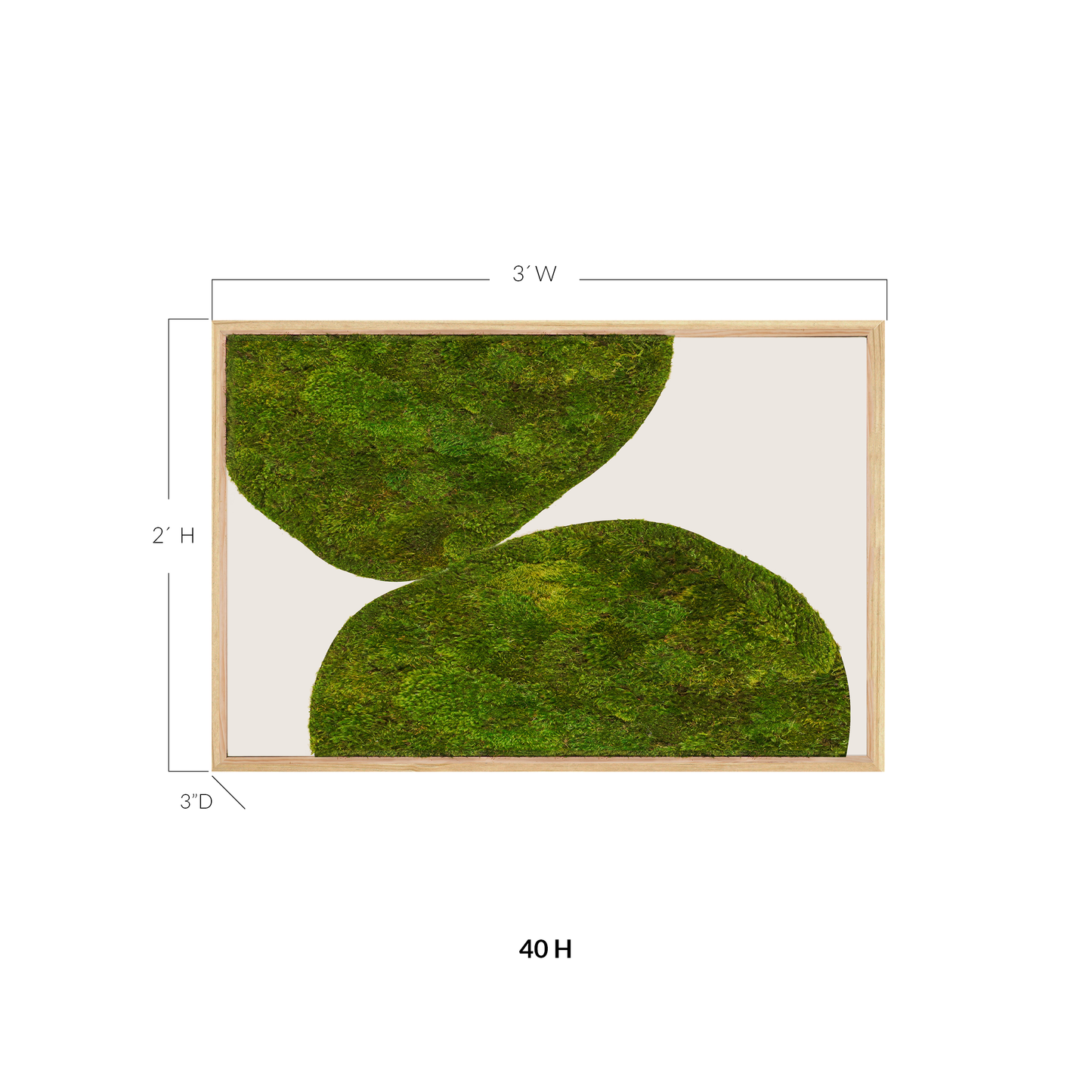 Moss Art - Abstract Series No. 049 (3' x 2')