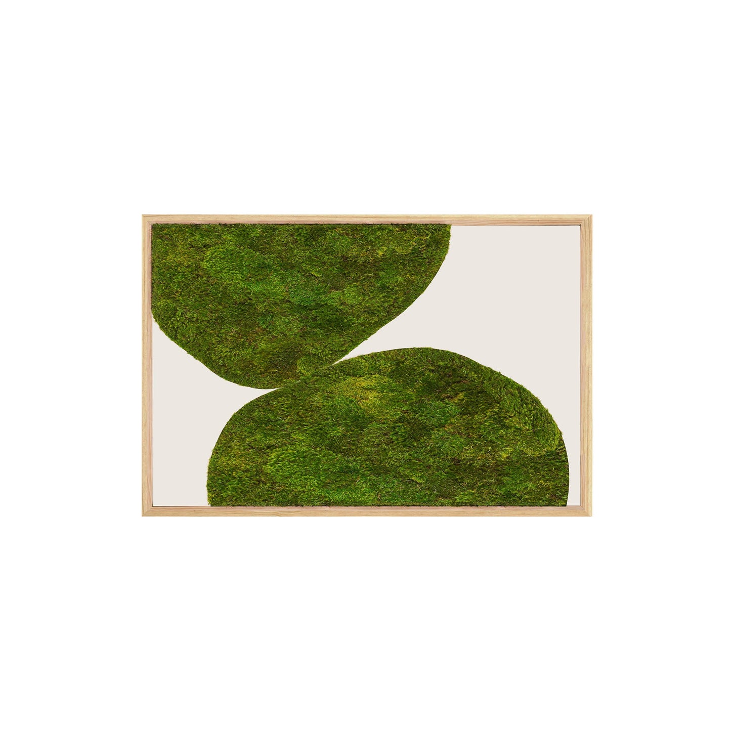 Moss Art - Abstract Series No. 049 (3' x 2')