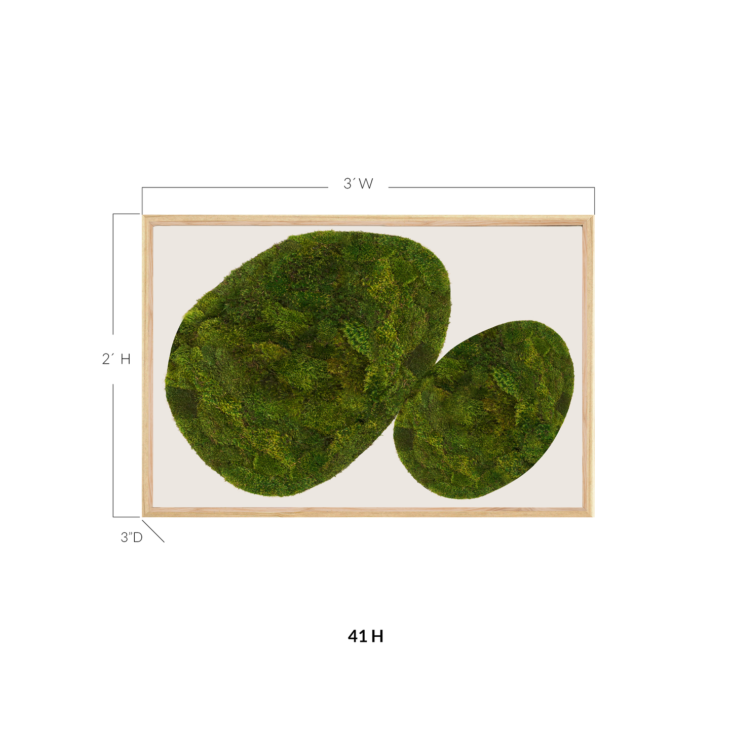 Moss Art - Abstract Series No. 050 (3' x 2')