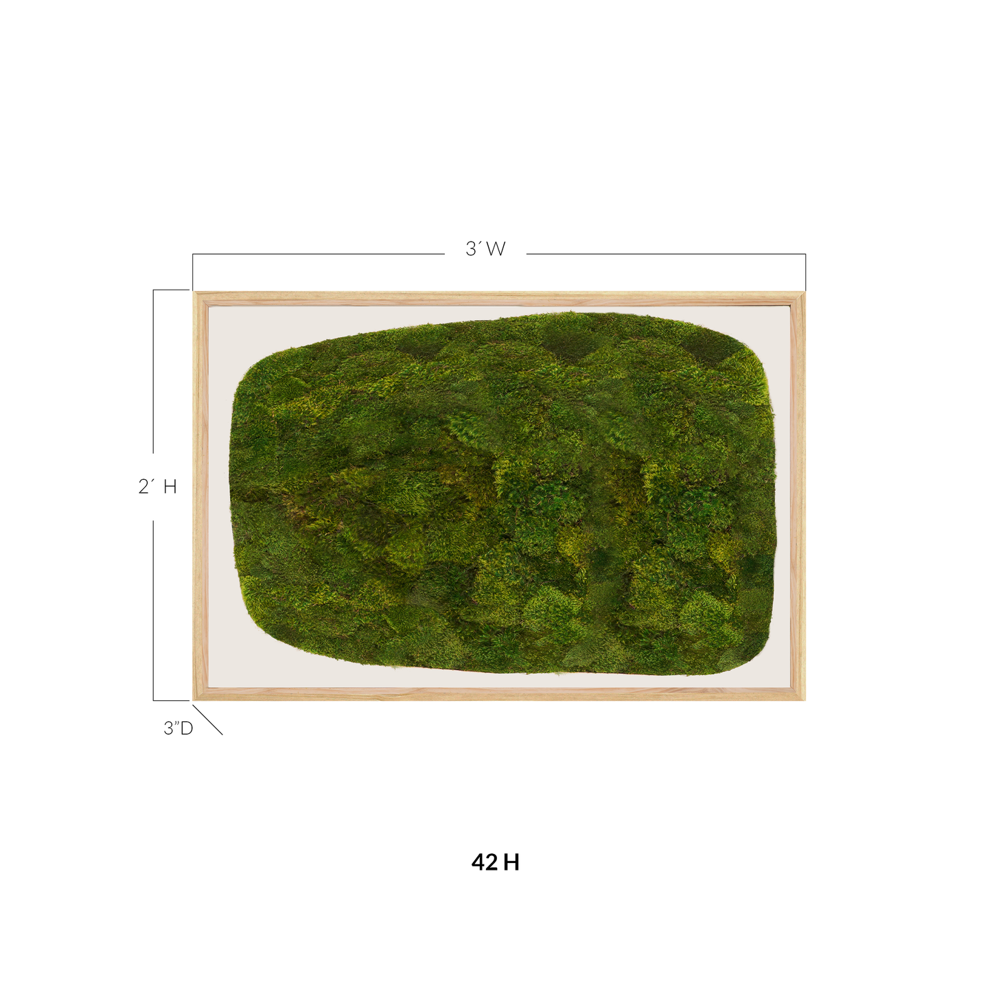 Moss Art - Abstract Series No. 051 (3' x 2')