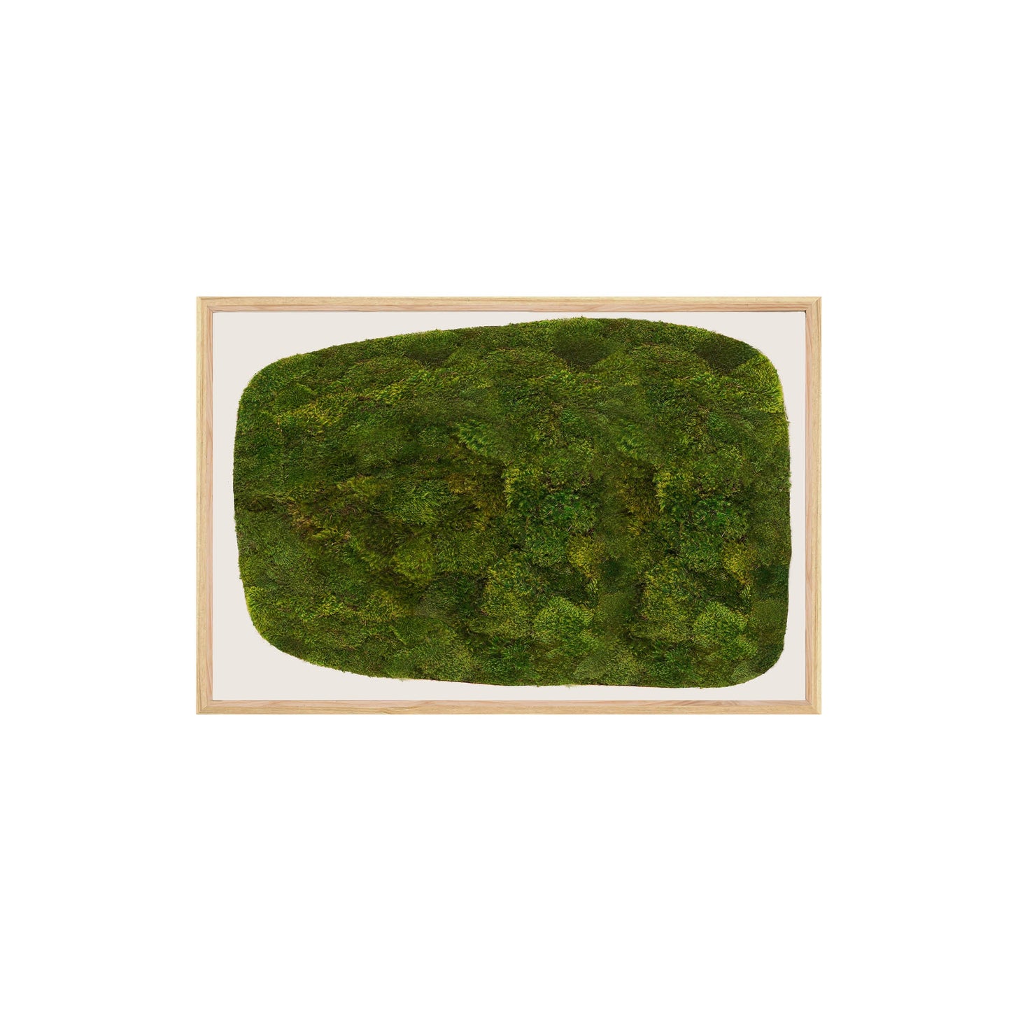 Moss Art - Abstract Series No. 051 (3' x 2')