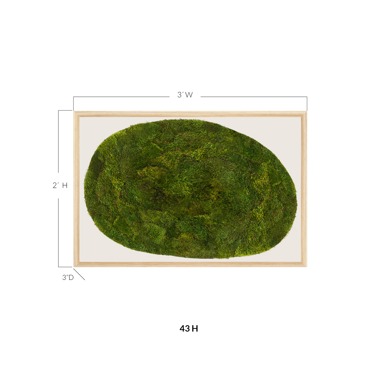 Moss Art - Abstract Series No. 052 (3' x 2')