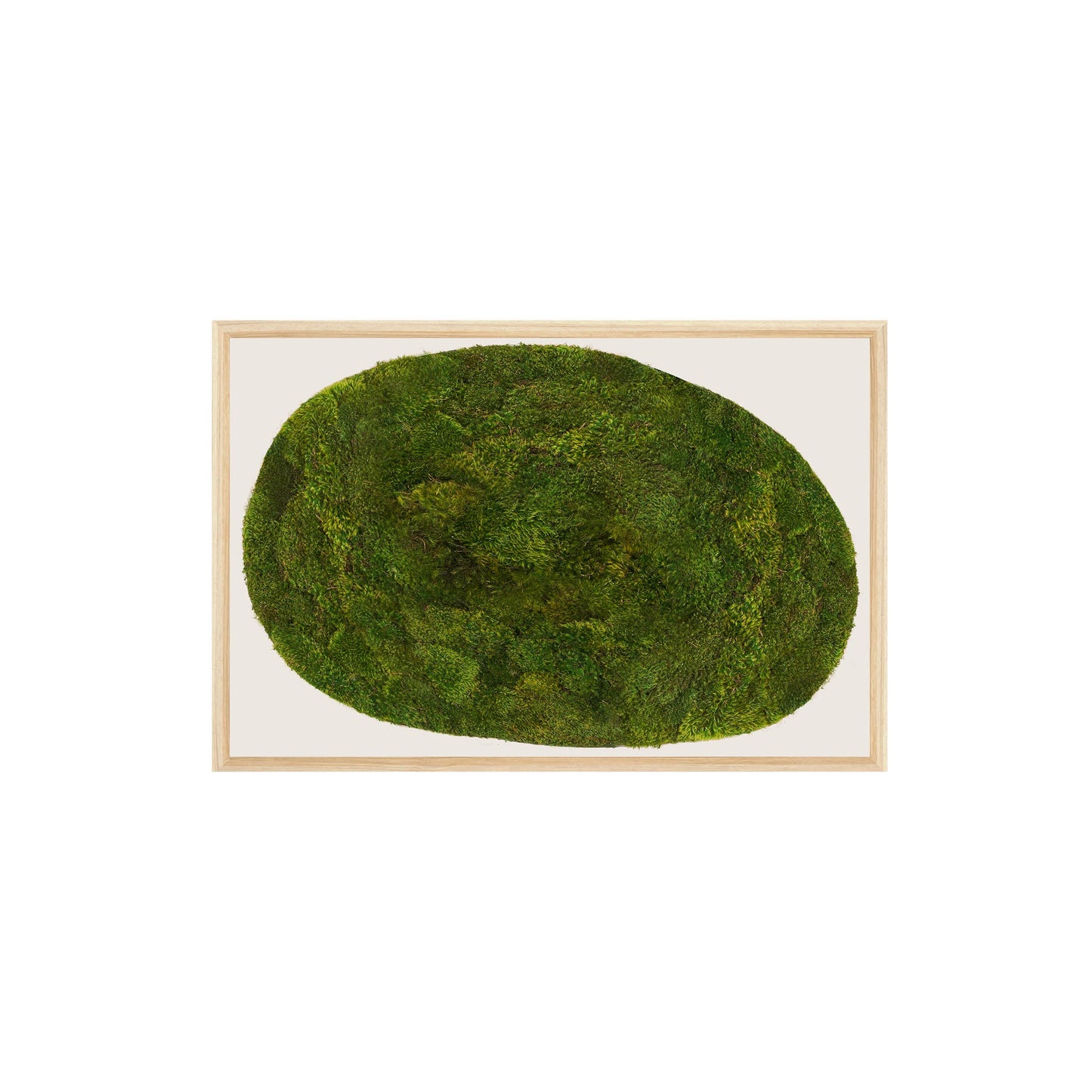 Moss Art - Abstract Series No. 052 (3' x 2')