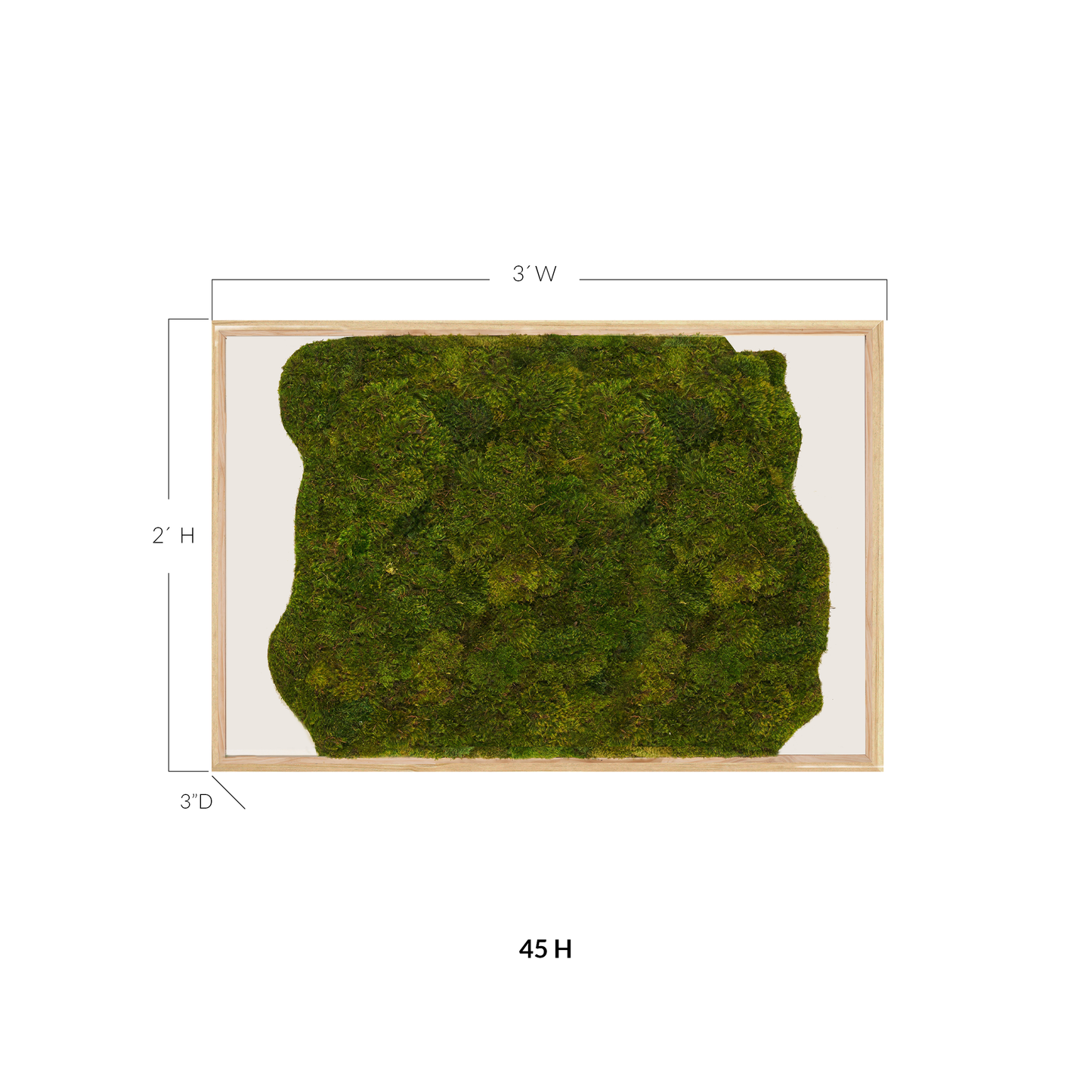 Moss Art - Abstract Series No. 054 (3' x 2')