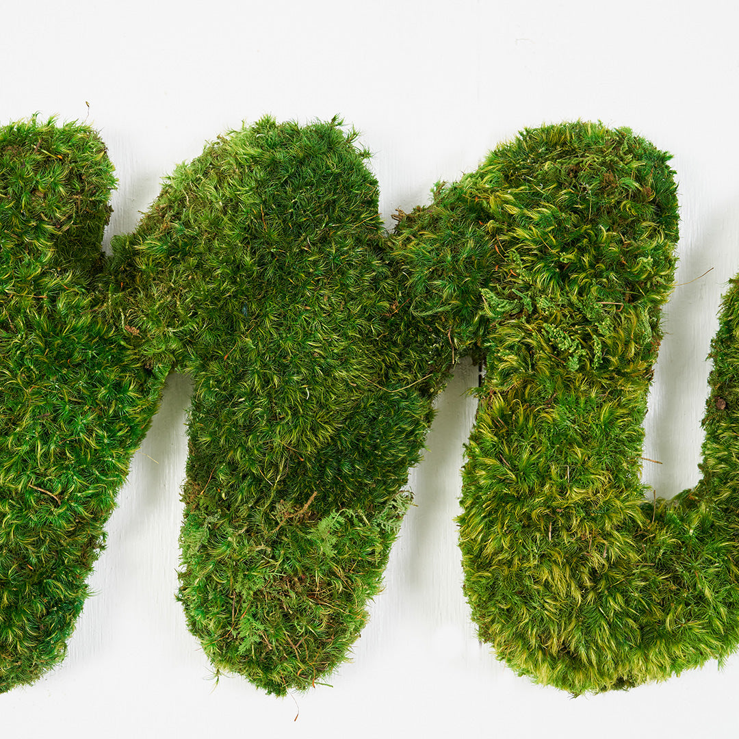 Moss Sign - "Amor" Cursive