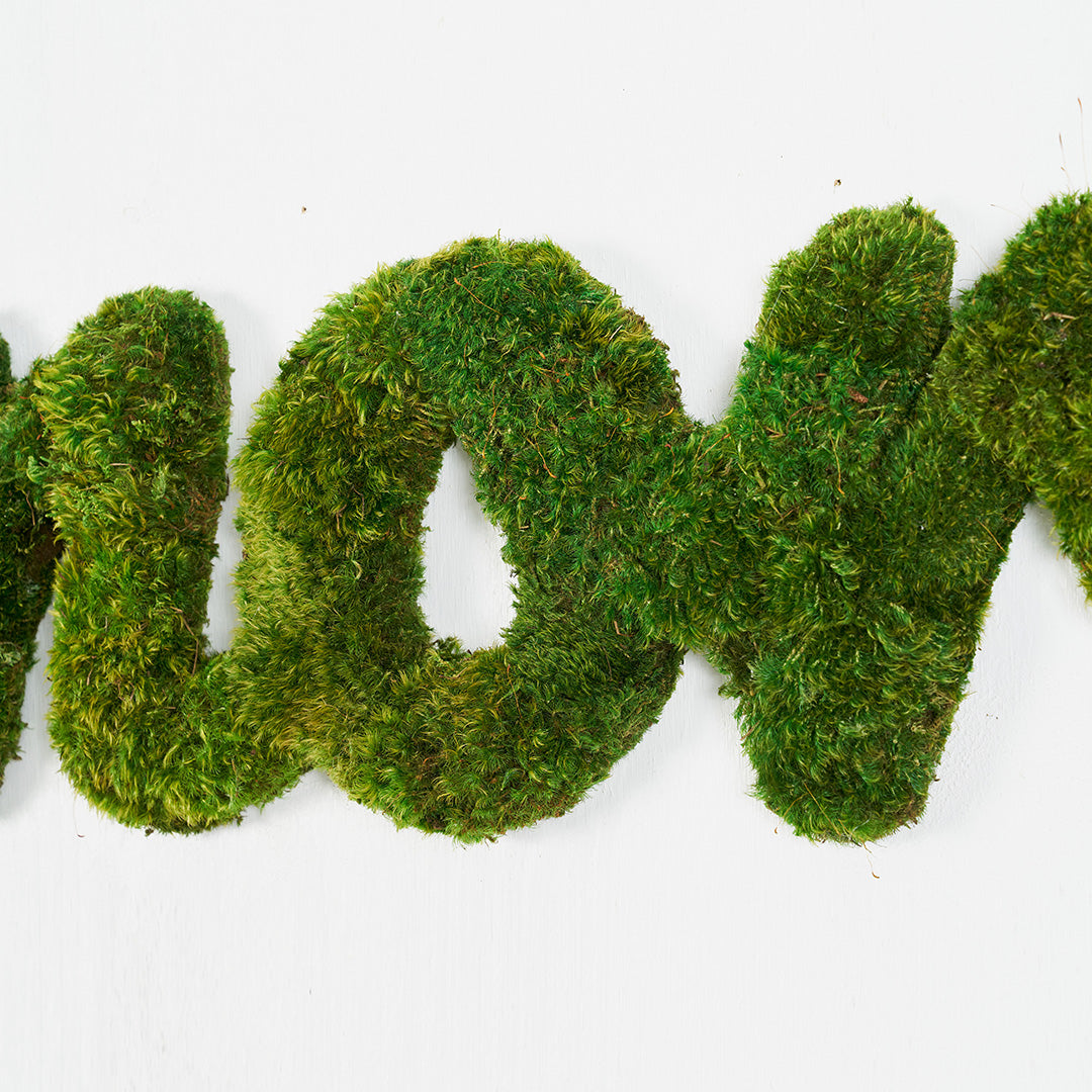 Moss Sign - "Amor" Cursive