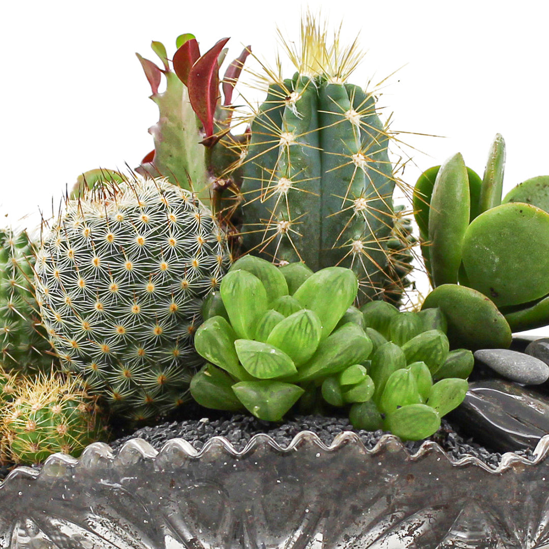 Vintage Clear Glass Black - Green Garden (One-of-a-Kind)