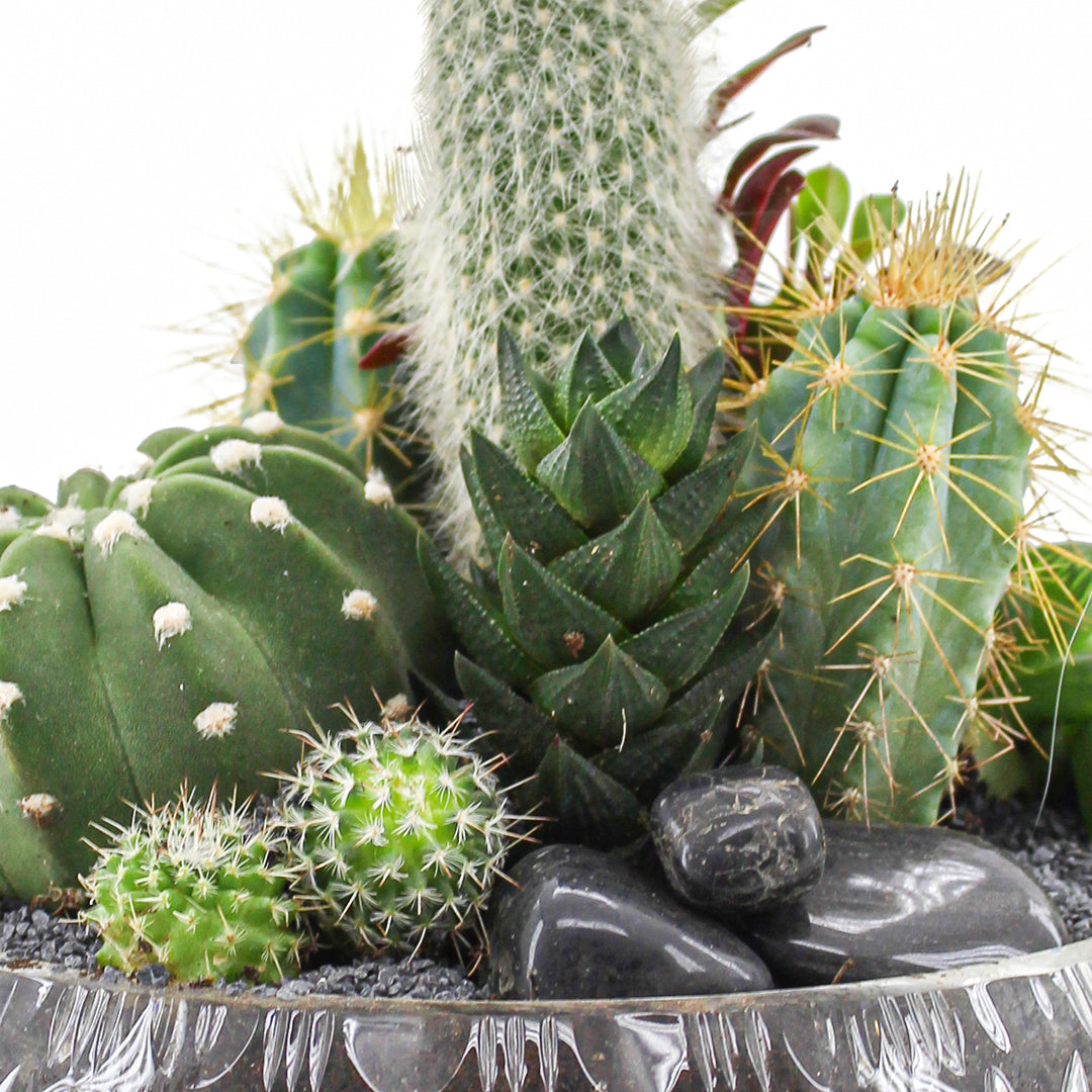 Vintage Clear Glass Black - Green Garden (One-of-a-Kind)