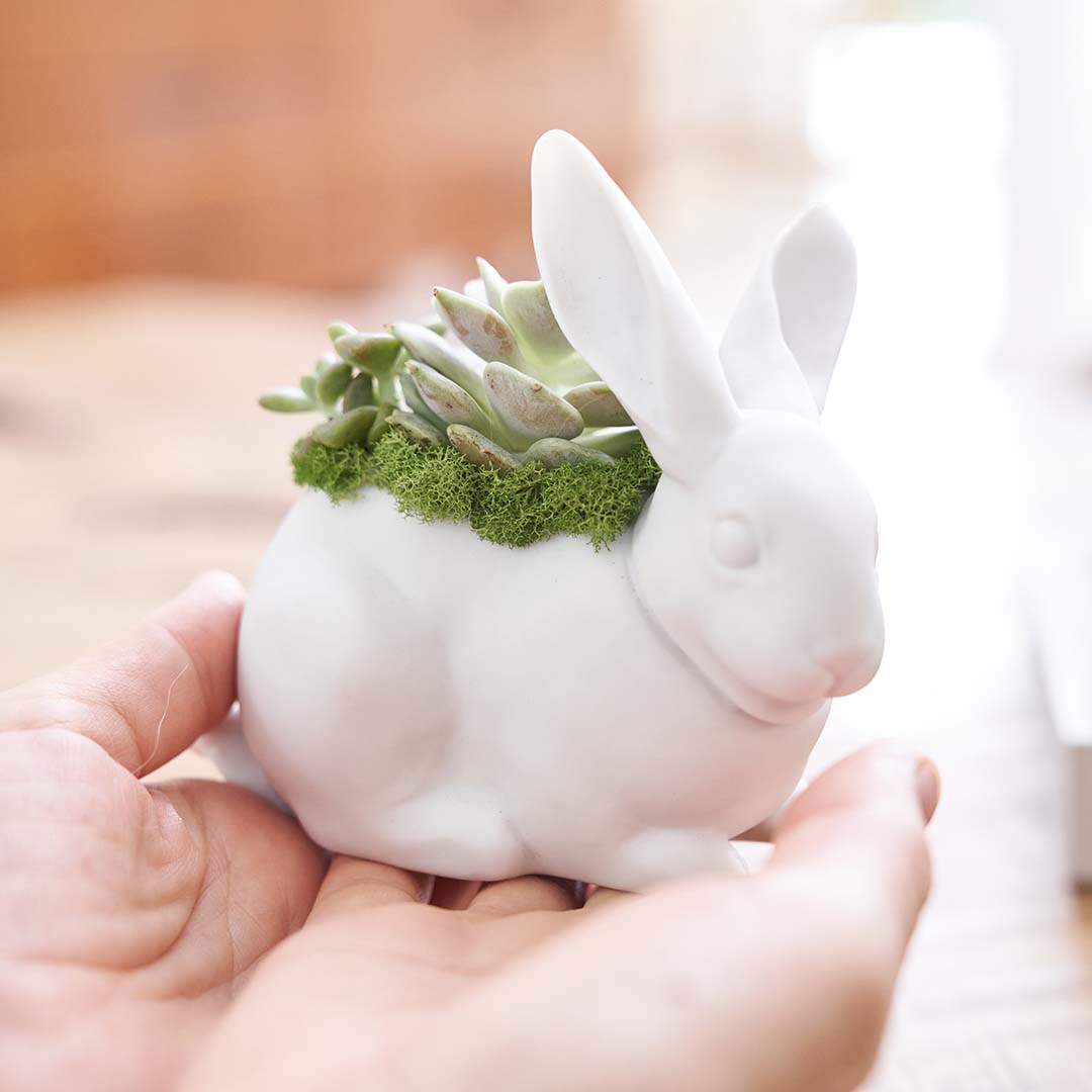 Lladró Porcelain - Bunny