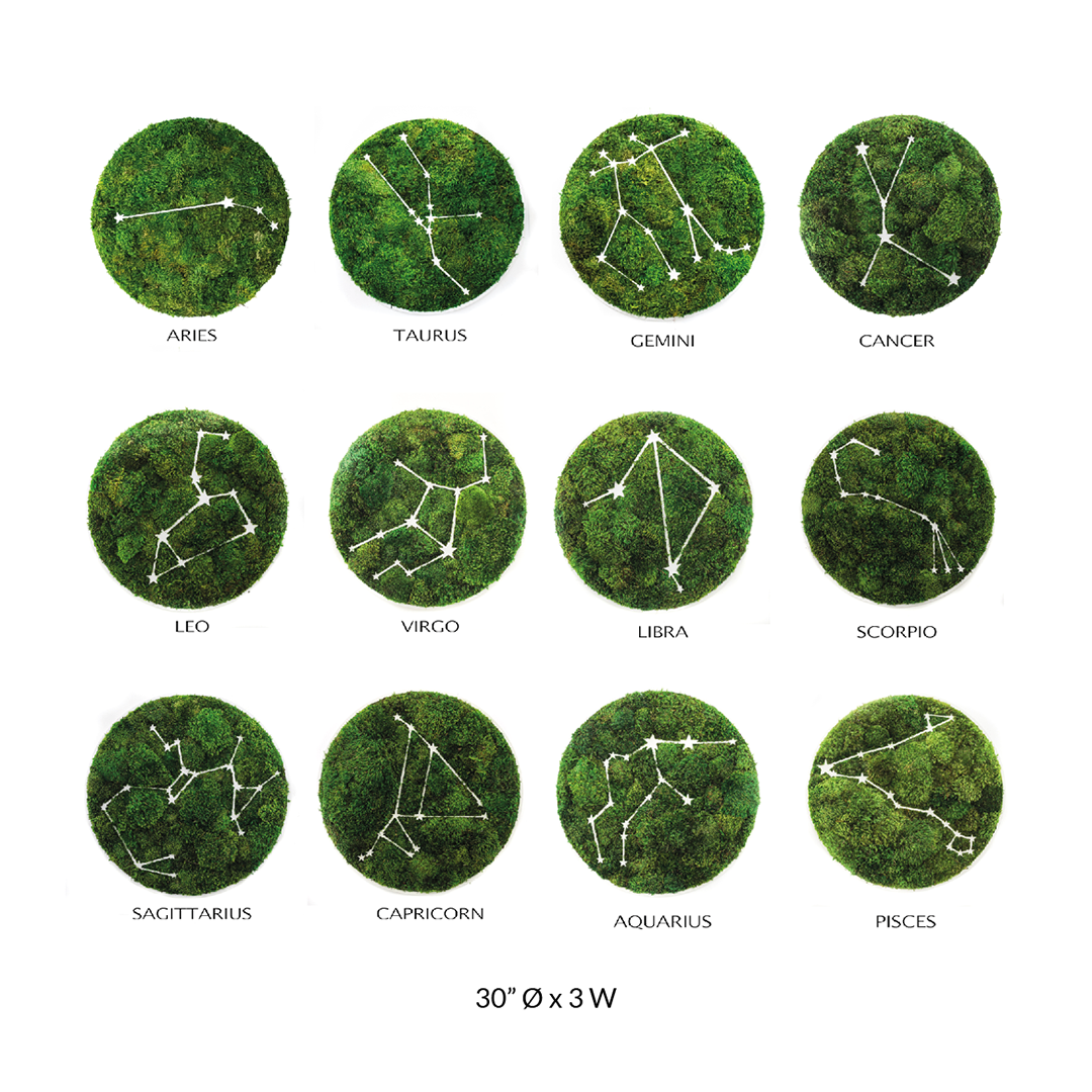 Zodiac Collection - Moss Constellations
