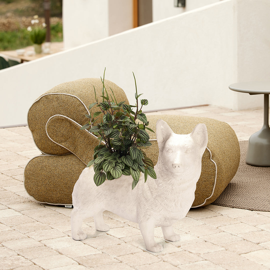 Life Size Animal - Corgi