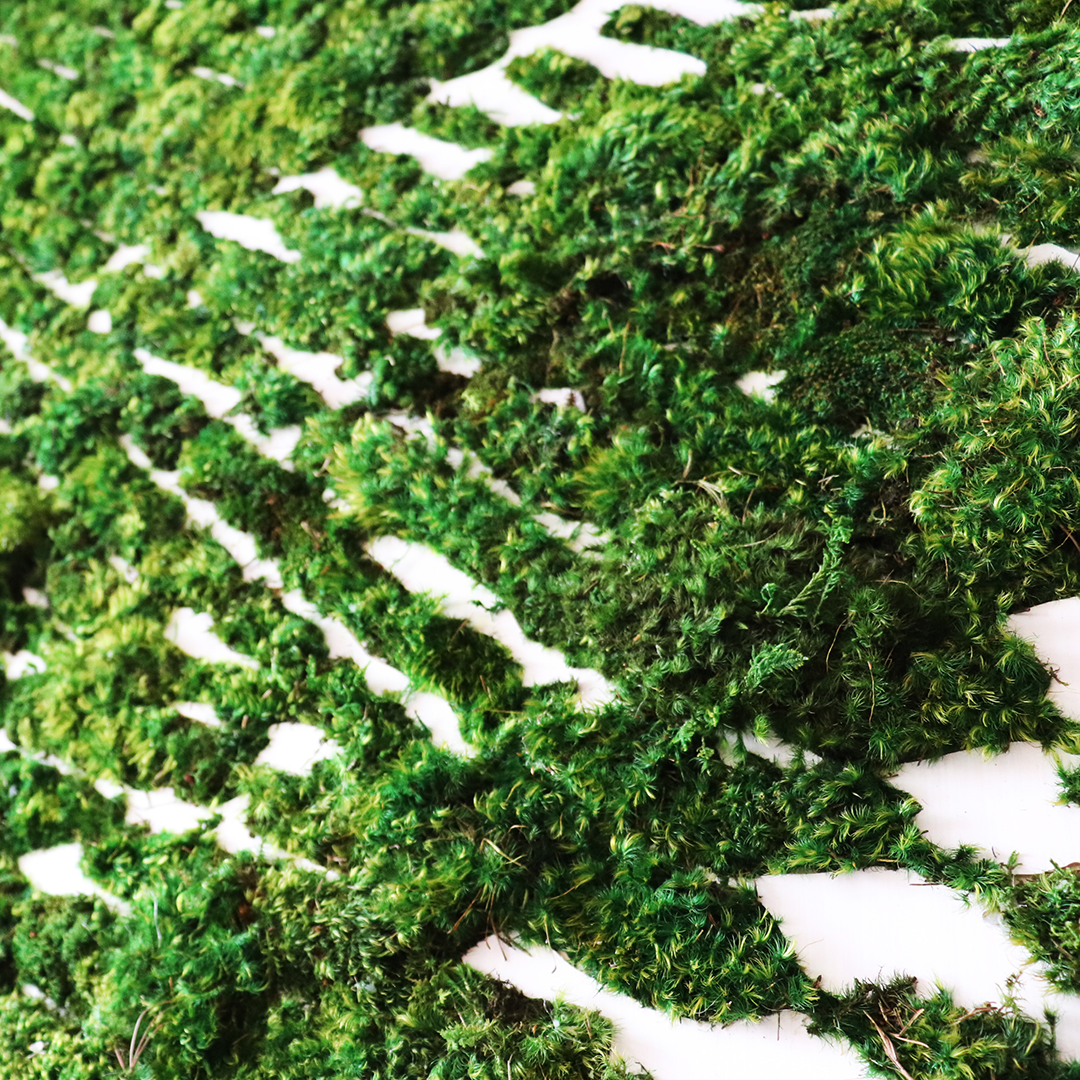 " Organic Flow No. 888" (2024) 4' x 4' Plant the Future