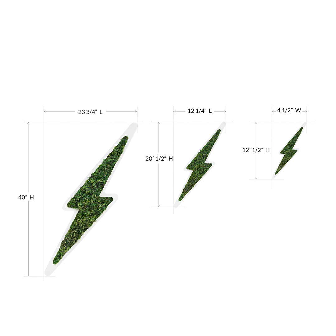 Moss Lightning Bolt Plant the Future