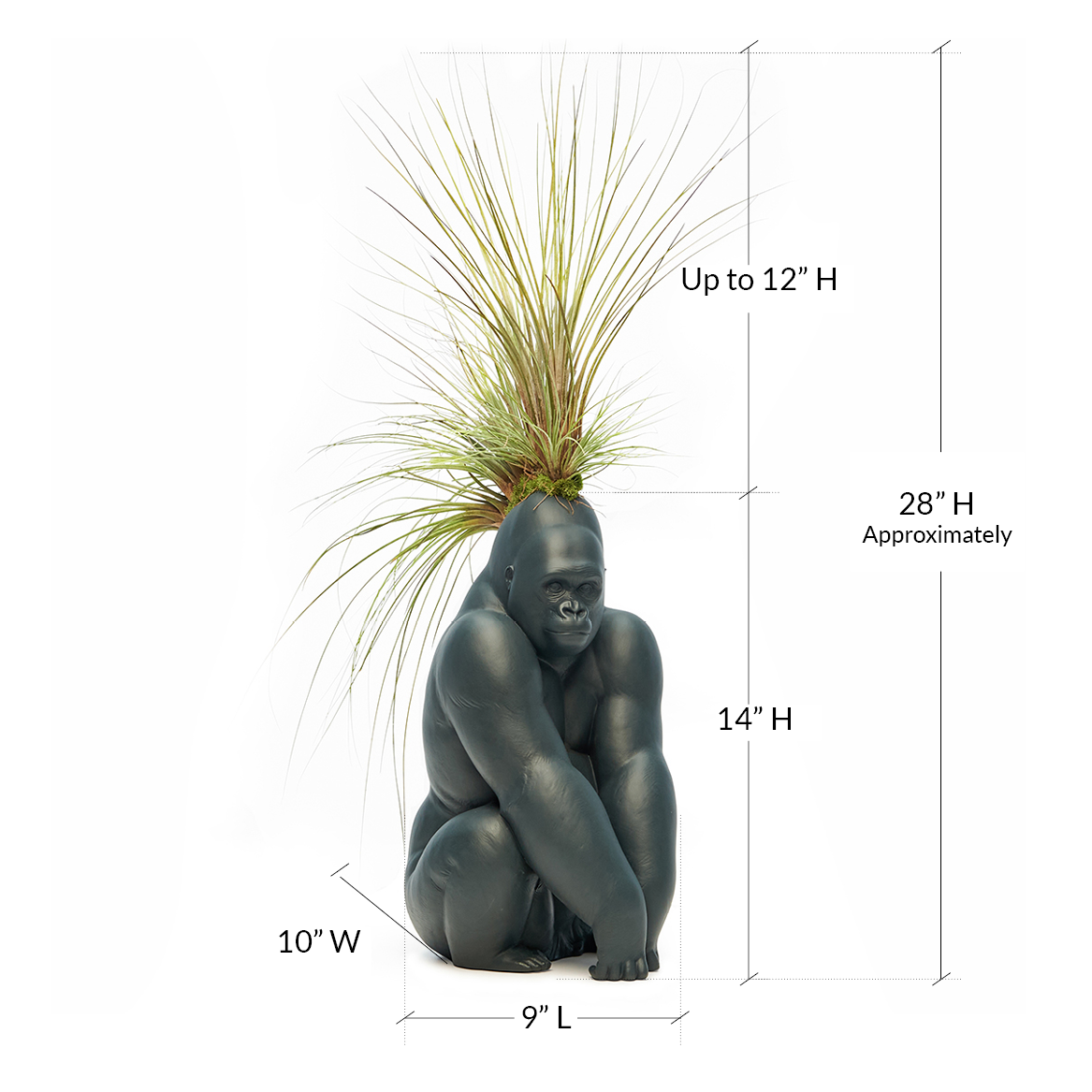 Lladró Porcelain - Black Gorilla With Airplants