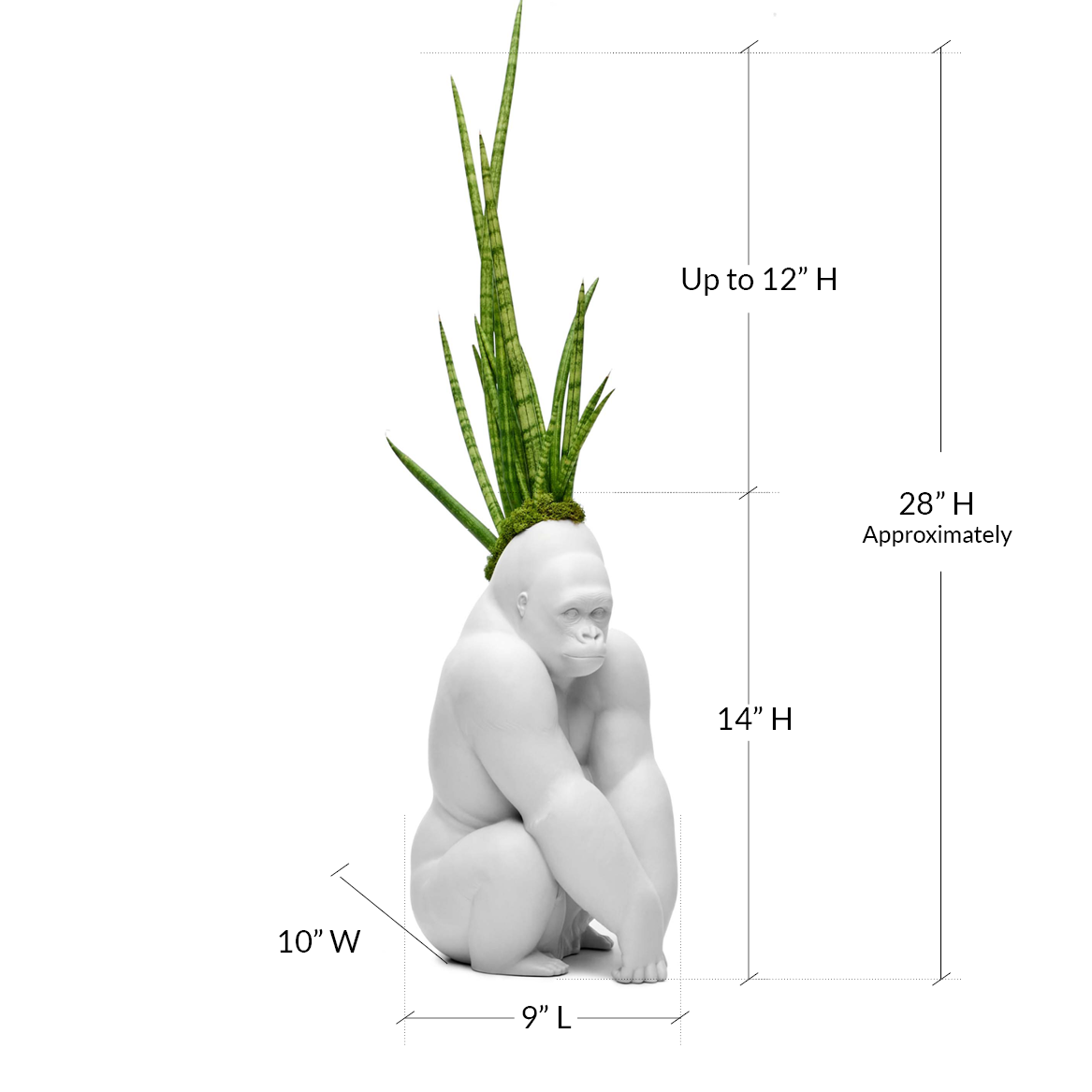 Lladró Porcelain - White Gorilla Plant the Future