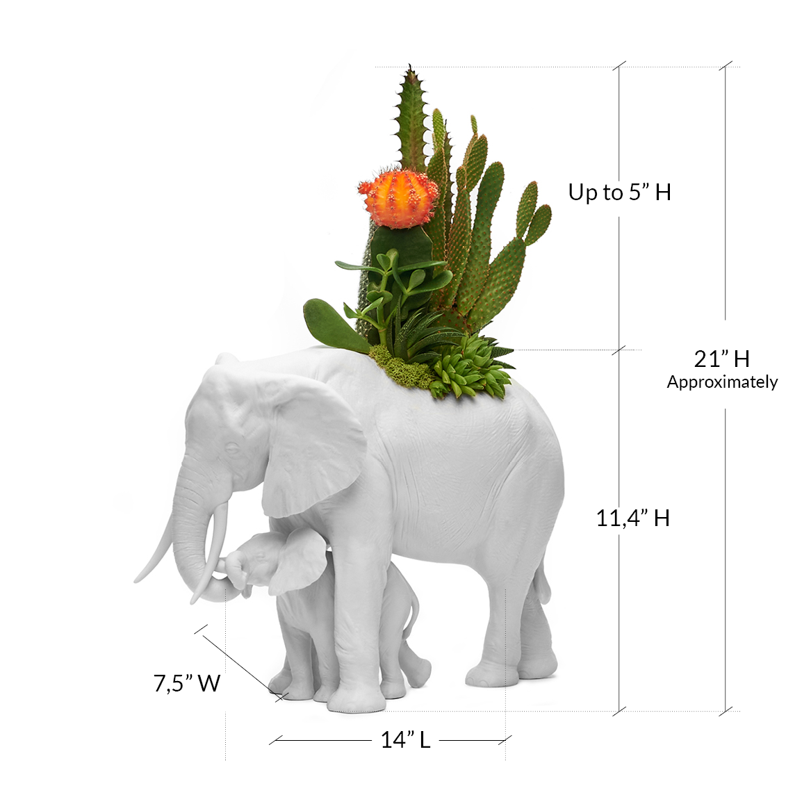 Lladró Porcelain - Elephant Plant the Future