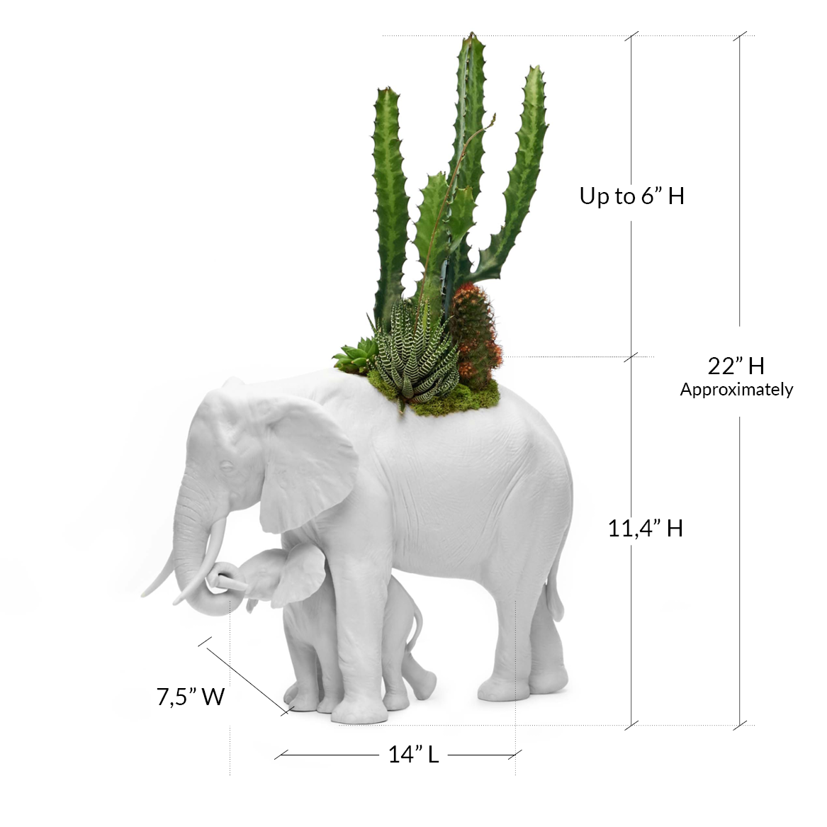 Lladró Porcelain - Elephant