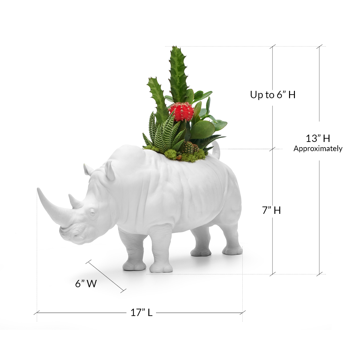 Lladró Porcelain - Rhino