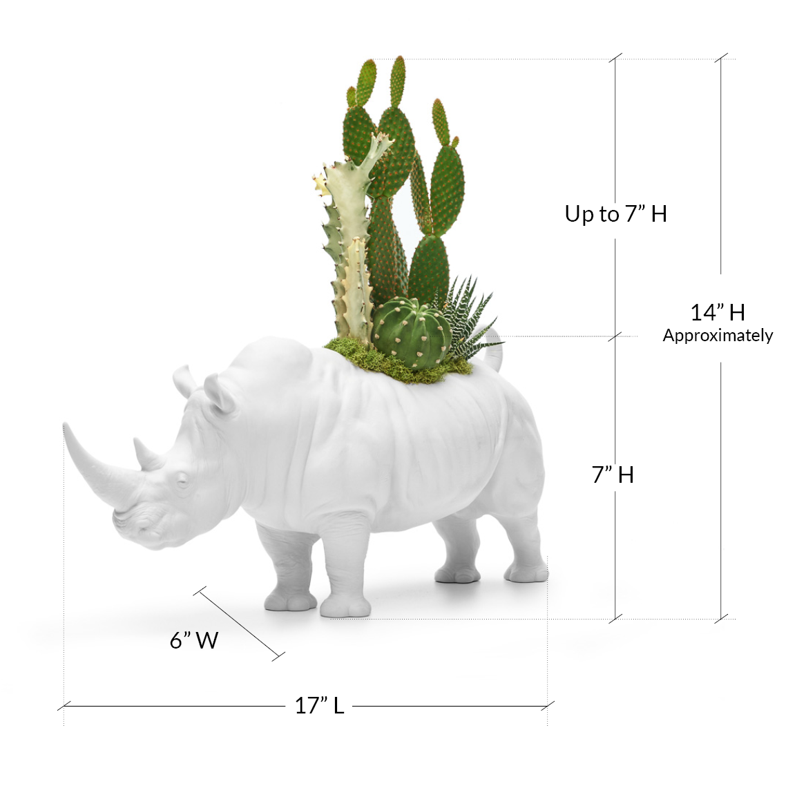 Lladró Porcelain - Rhino