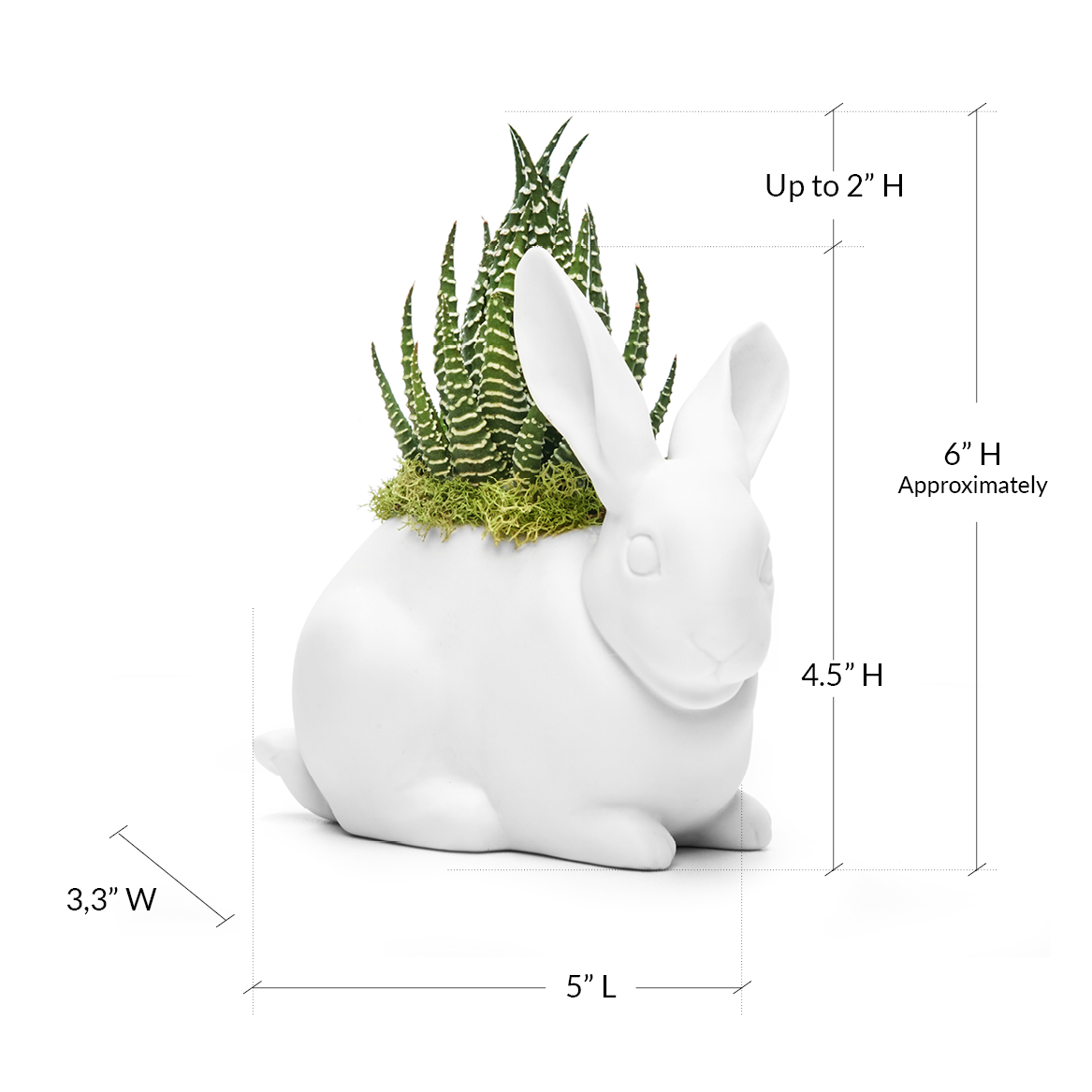 Lladró Porcelain - Bunny