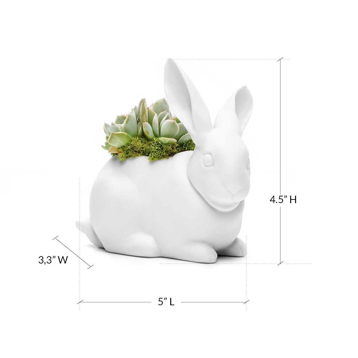Lladró Porcelain - Bunny Plant the Future