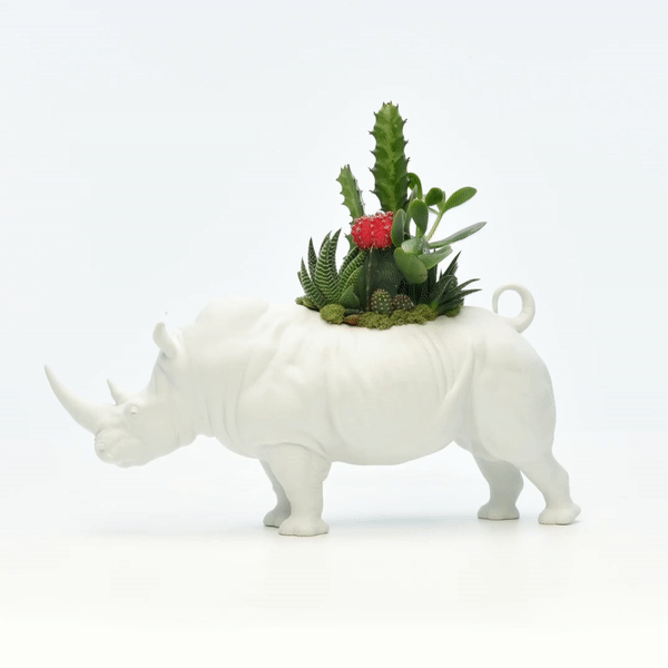 Lladró Porcelain - Rhino