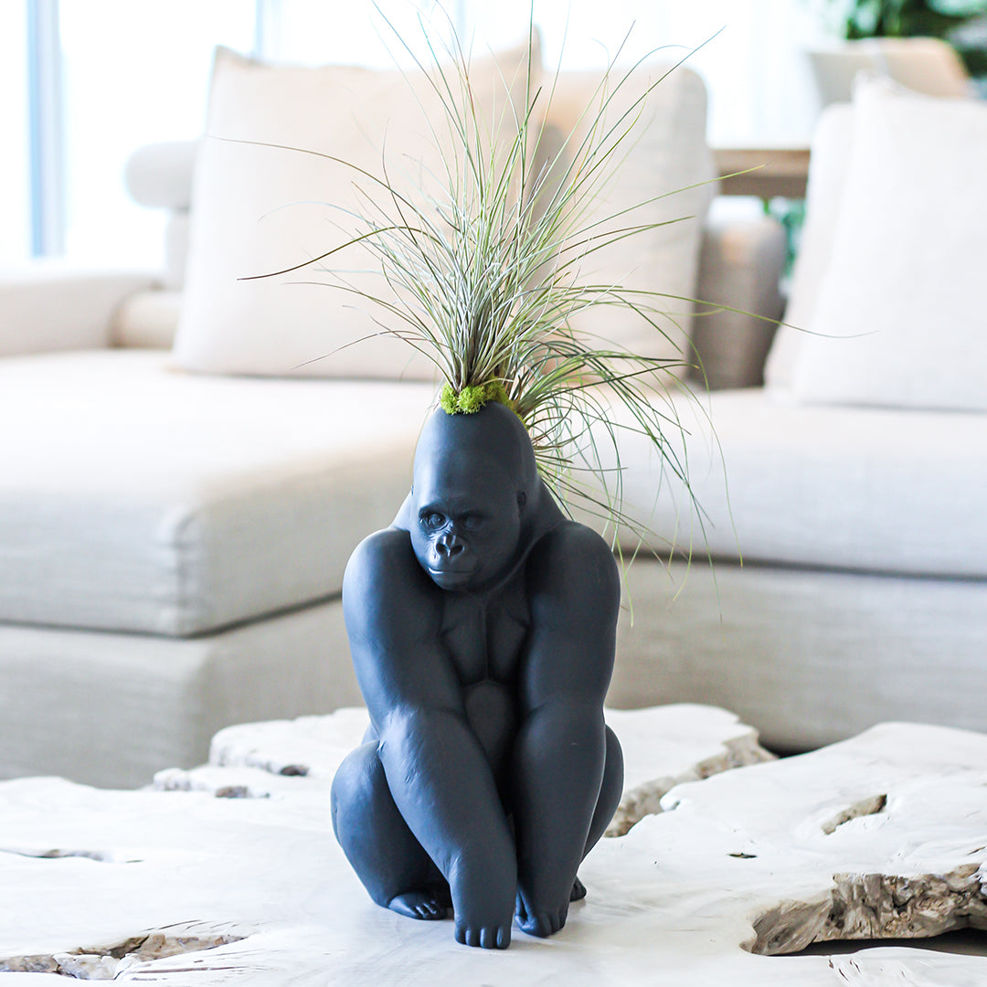 Lladró Porcelain - Black Gorilla With Airplants