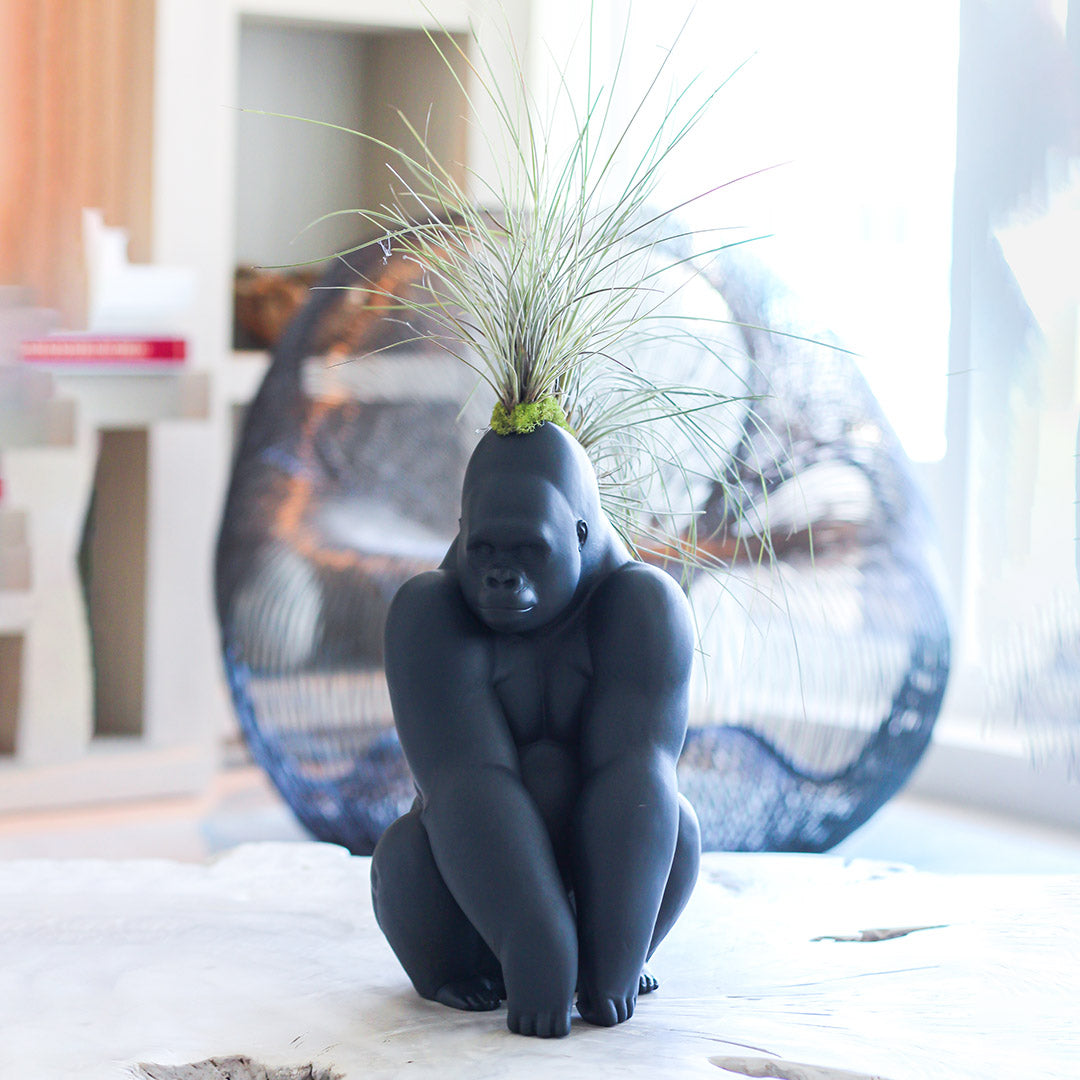 Lladró Porcelain - Black Gorilla With Airplants