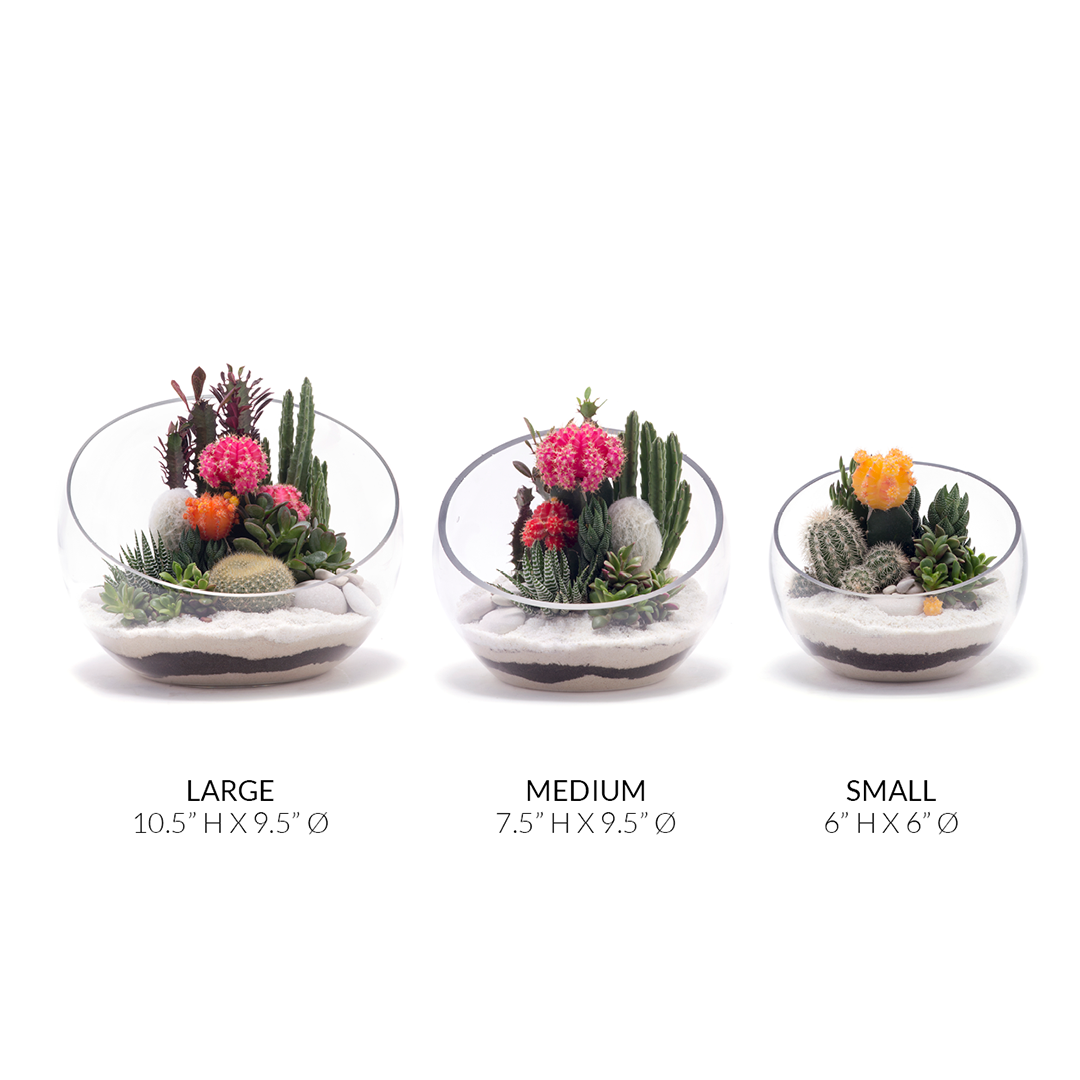 Half Moon Glass Terrarium - White