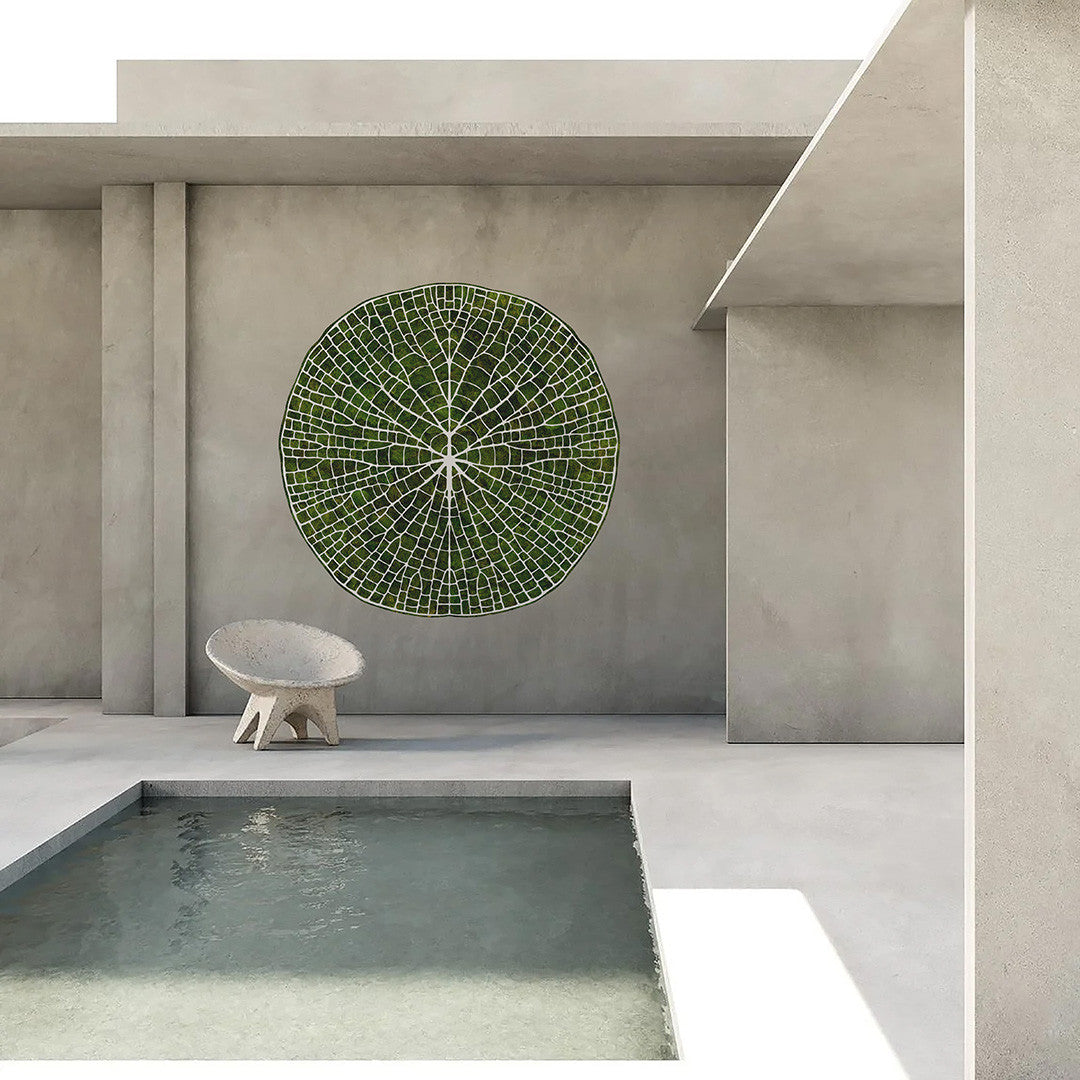 Moss Art - Victoria Amazonica II Plant the Future