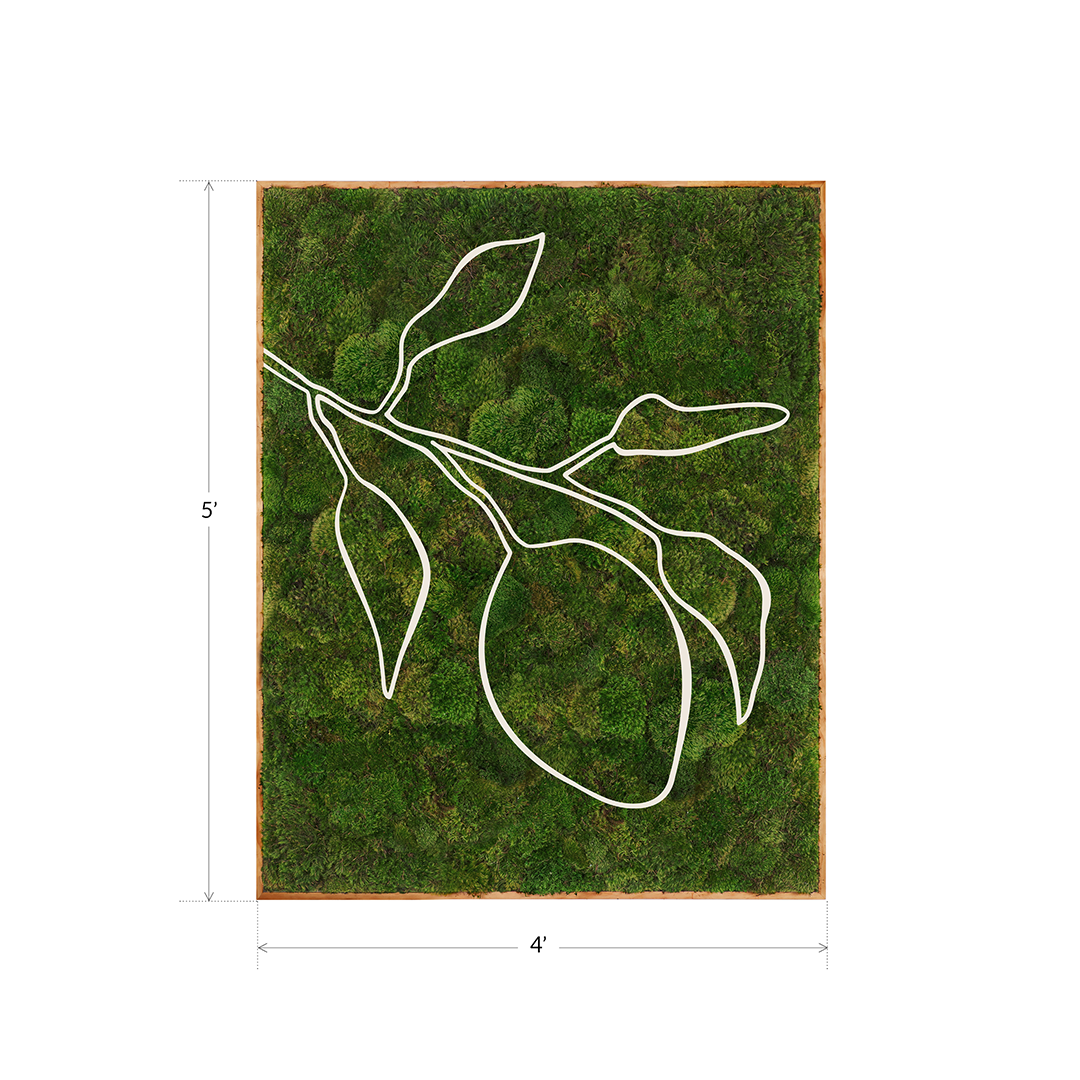 Mediterranean Series "Lemon" (2024) 5' x 4' Plant the Future