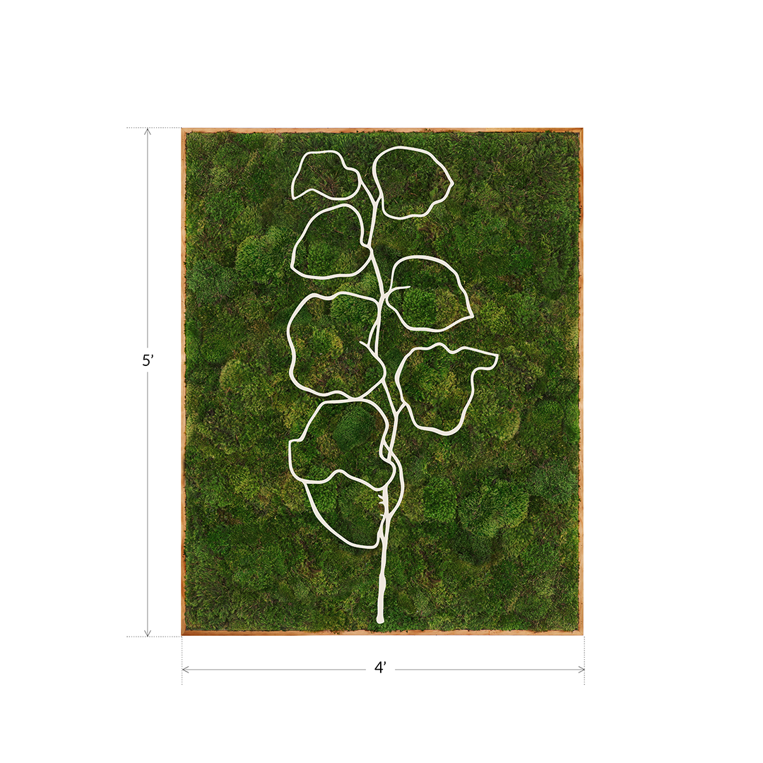 Mediterranean Series “Bougainvillea III” (2024) 5' x 4' Plant the Future