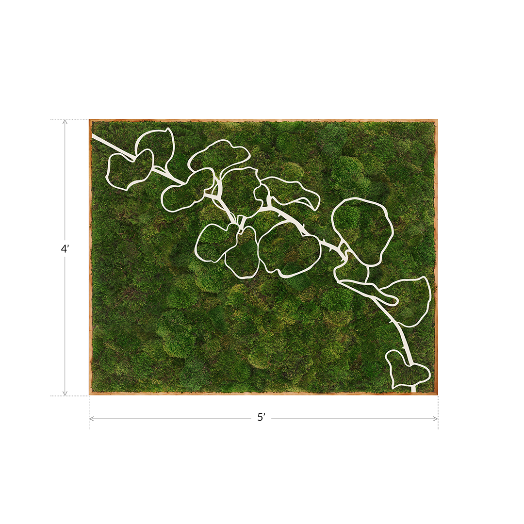 Mediterranean Series “Bougainvillea I” (2024) 4' x 5' Plant the Future