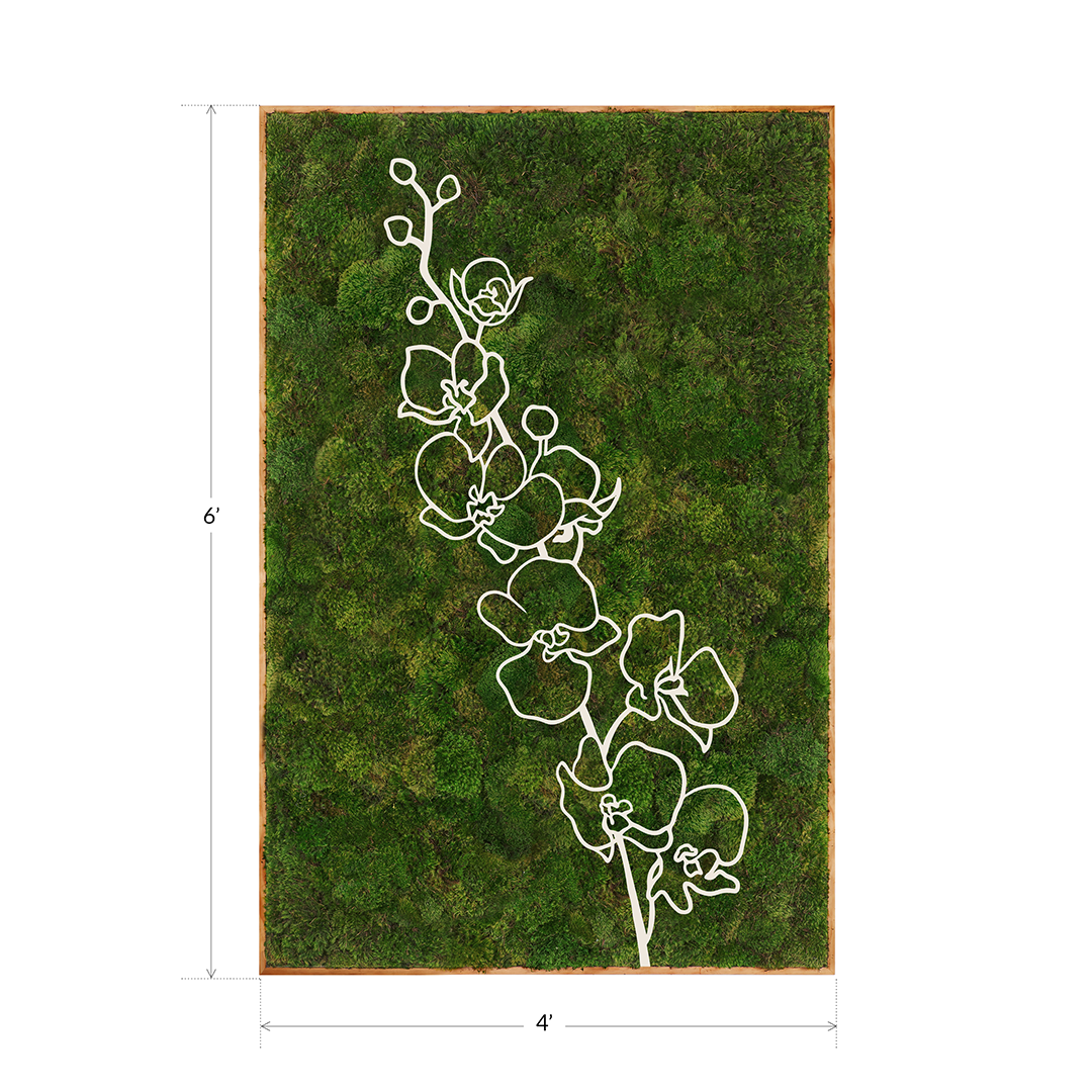 Mediterranean Series "Orchids" (2024) 6' x 4' Plant the Future