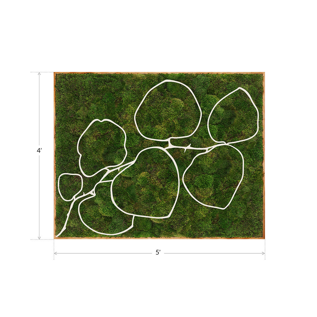 Mediterranean Series “Bougainvillea II” (2024) 4' x 5' Plant the Future