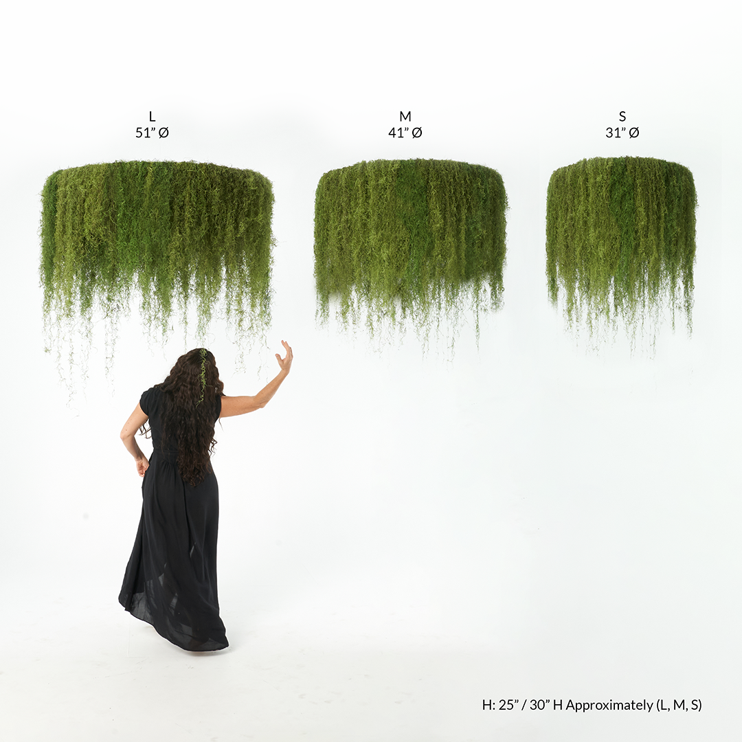 Spanish Moss Hanging Garden - 1 Tier Plant the Future