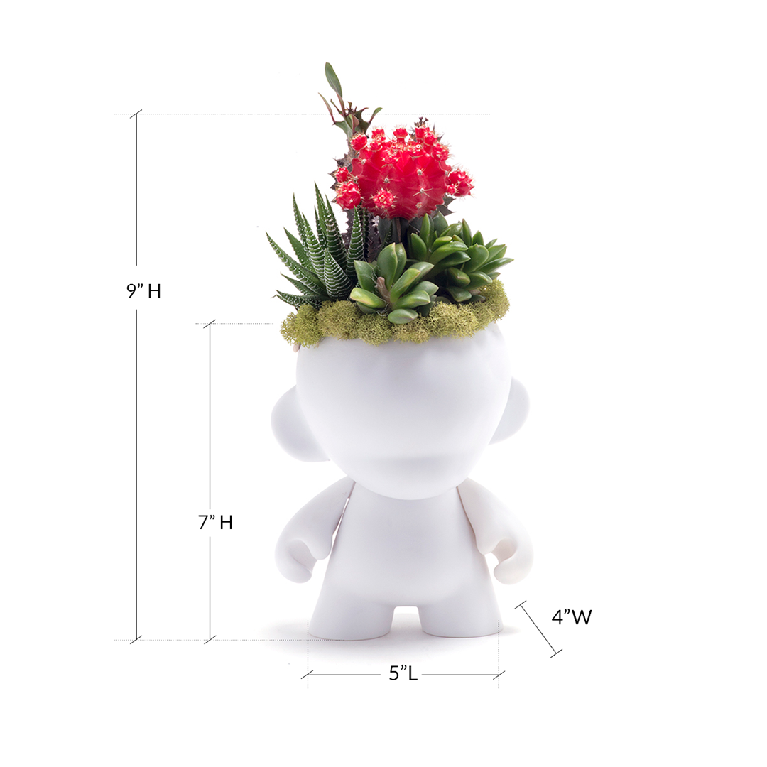 Munny Small Garden