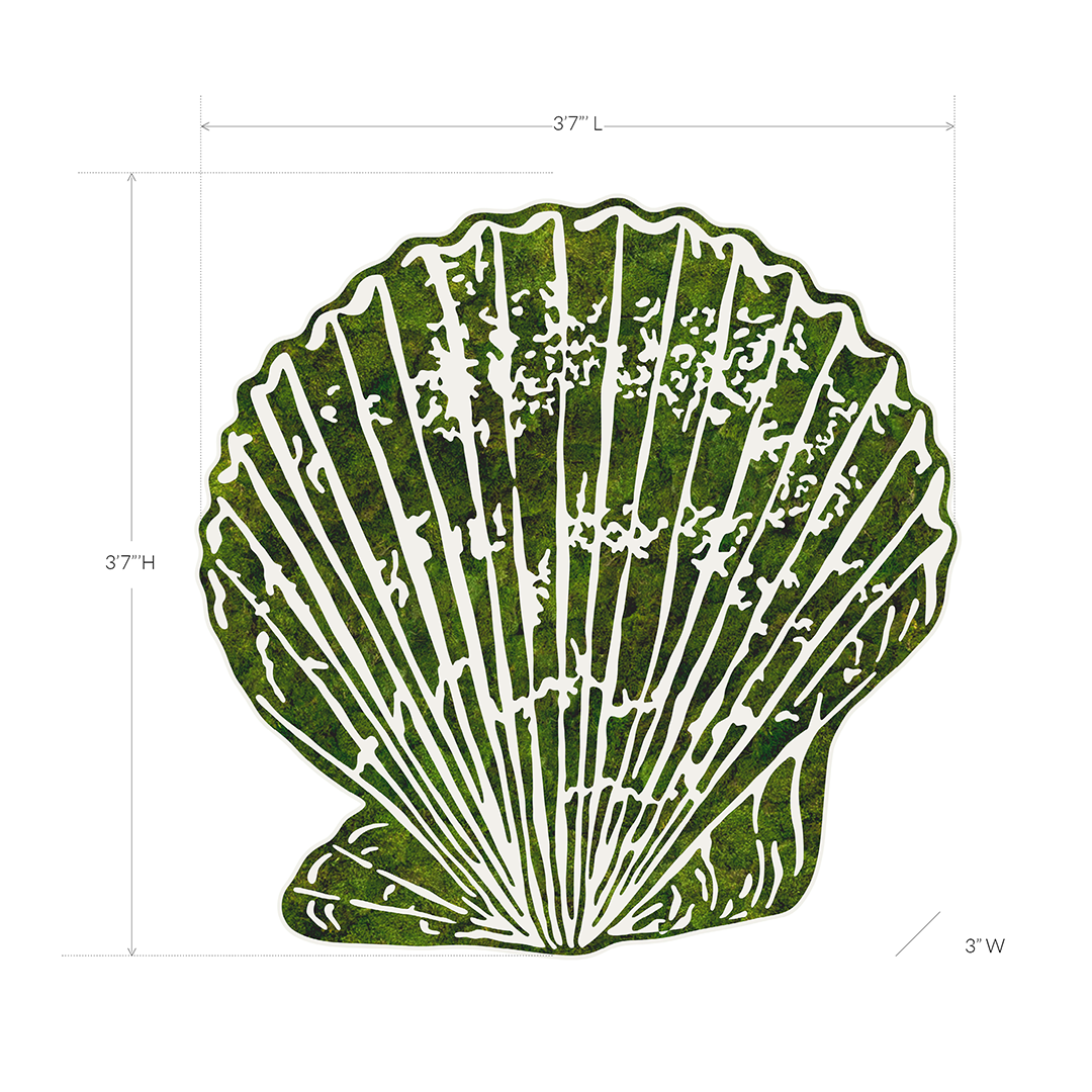"Miami Seashell N° 111" 2024 Plant the Future