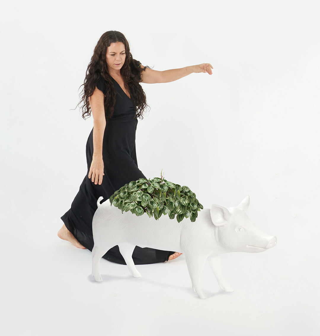 Life Size Animal - Pig