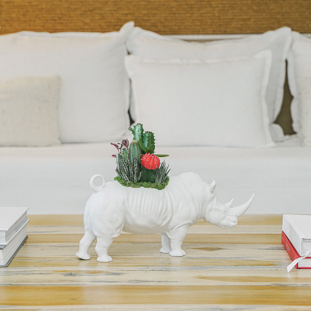 Lladró Porcelain - Rhino