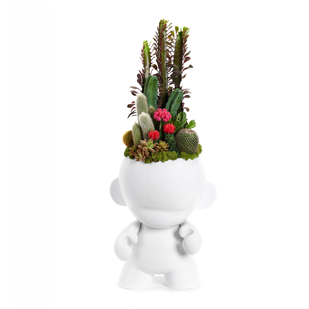 Munny Giant Garden