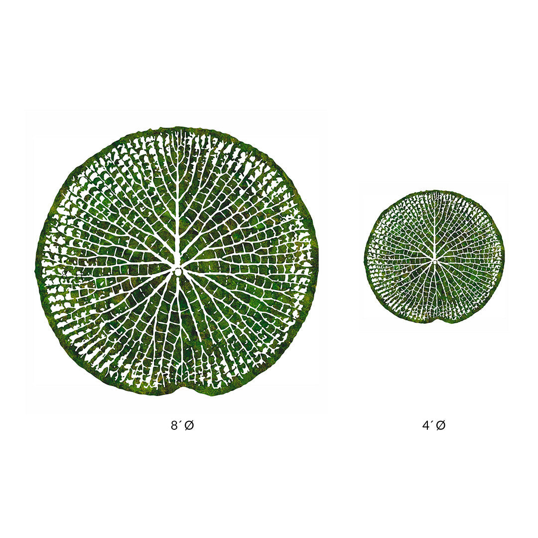 Victoria Amazonica I Plant the Future