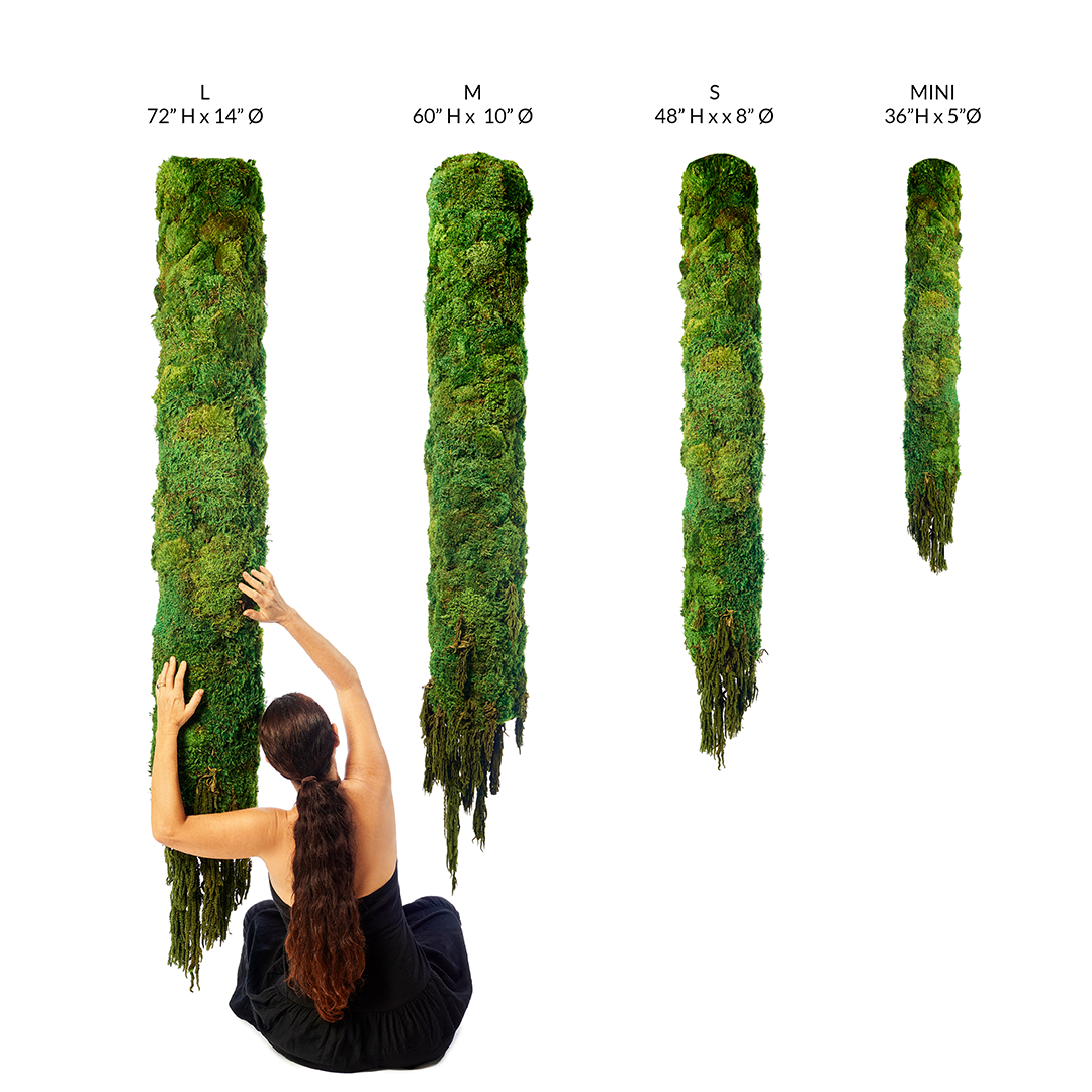 Hanging Moss Cylinder with Amaranthus