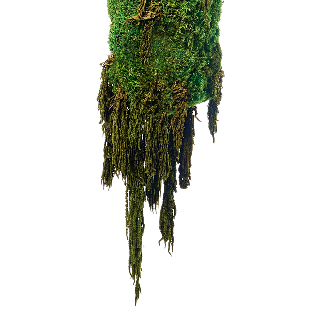 Hanging Moss Cylinder with Amaranthus Plant the Future