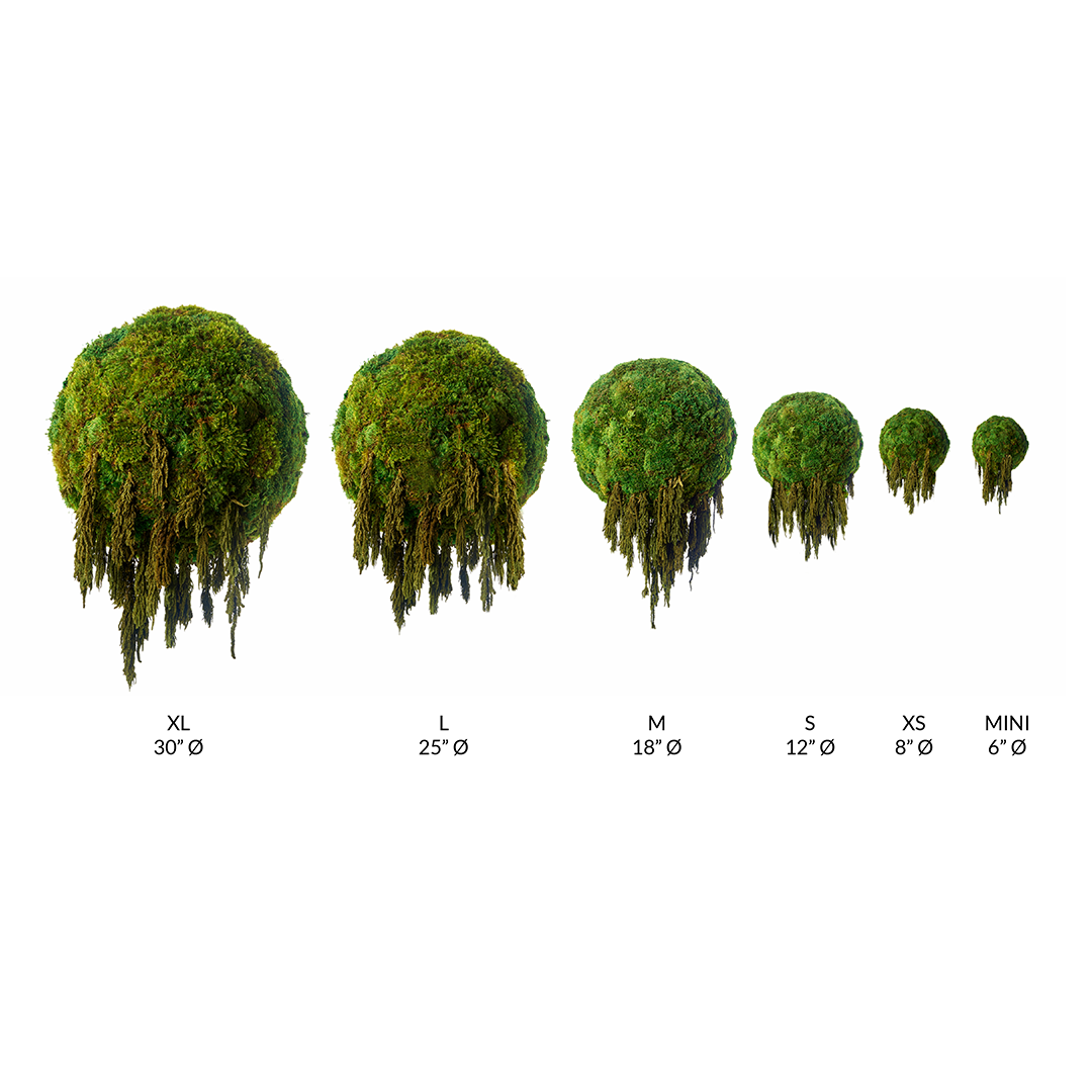 Hanging Moss Sphere with Amaranthus
