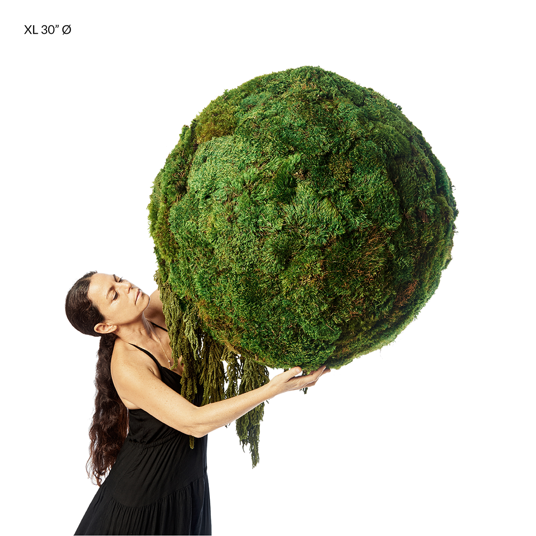 Hanging Moss Sphere with Amaranthus