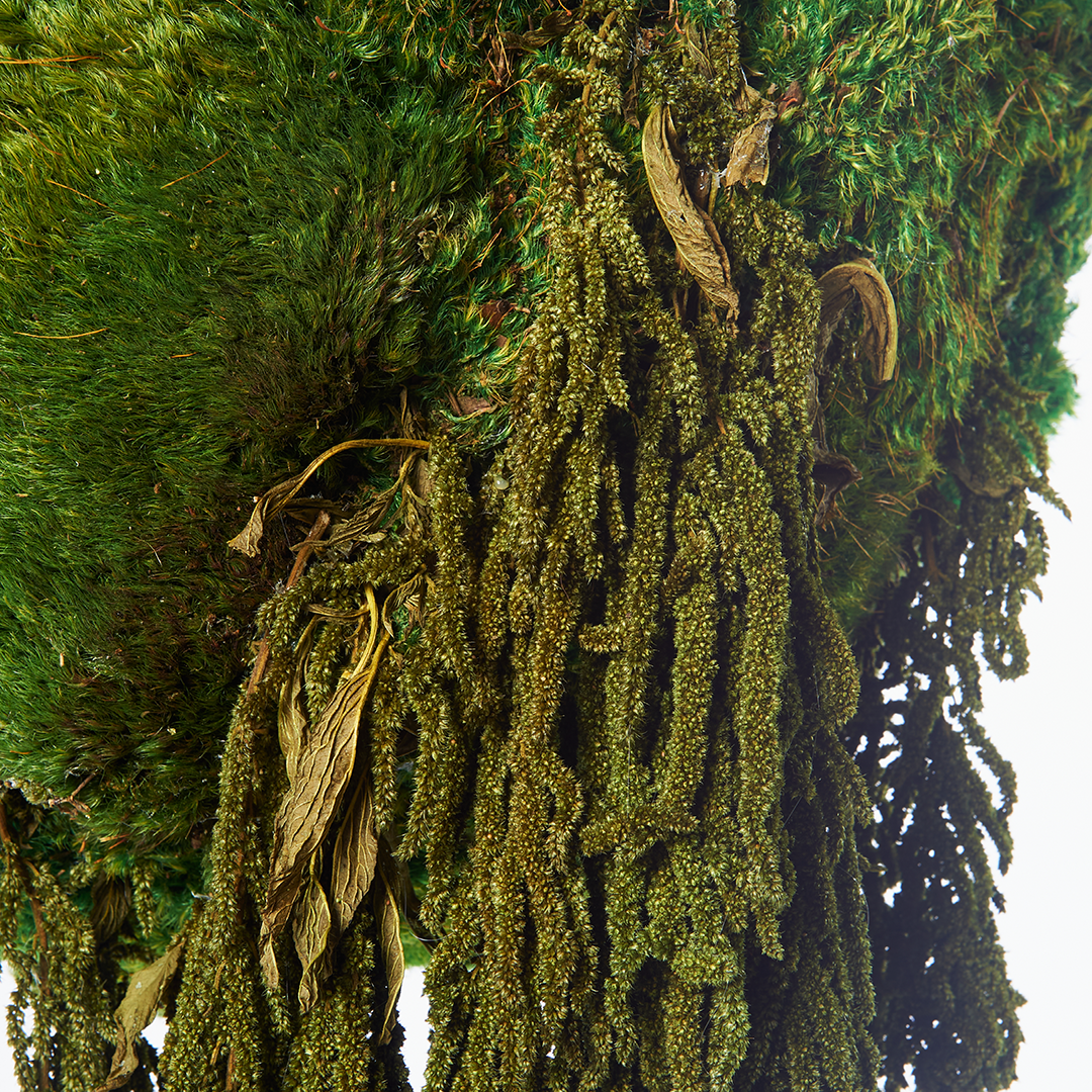 Hanging Moss Sphere with Amaranthus