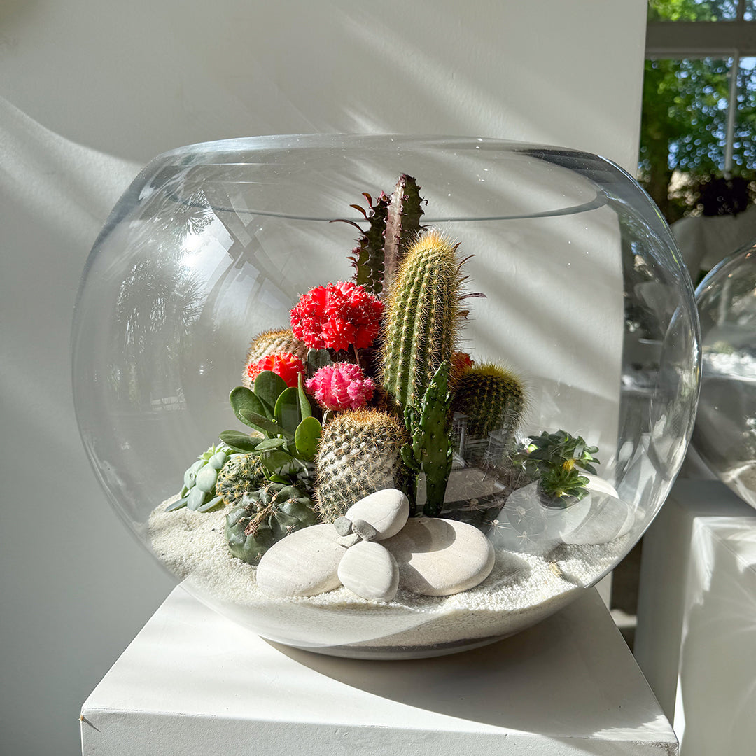 Fishbowl Glass Terrarium - White