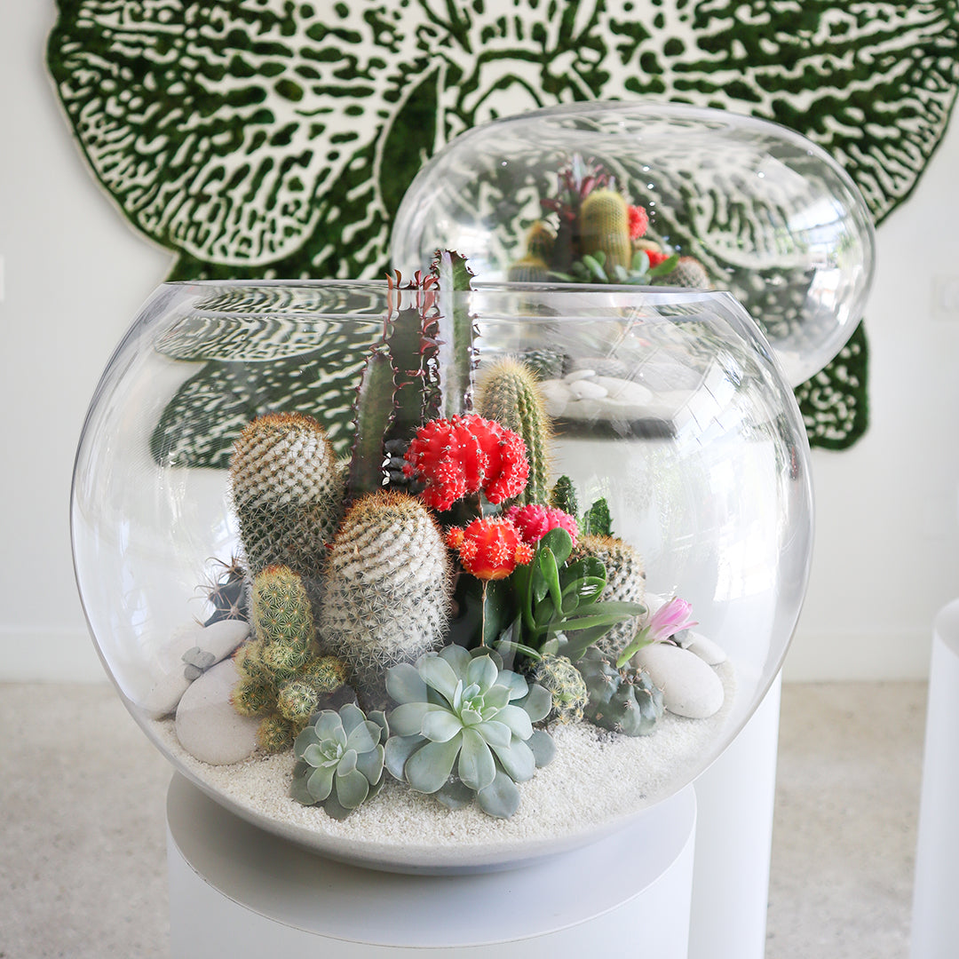 Fishbowl Glass Terrarium - White