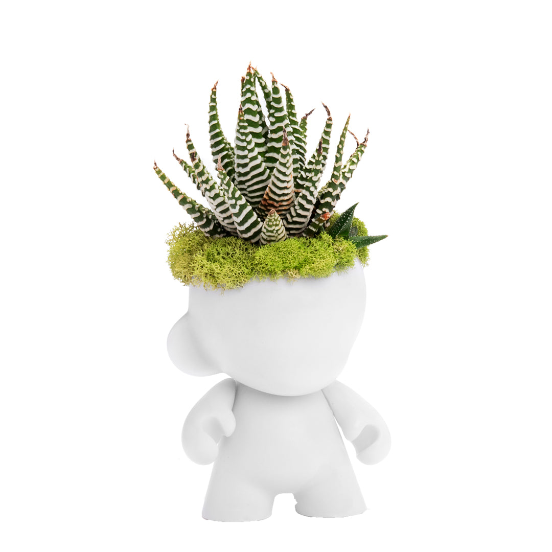 Munny Mini Garden